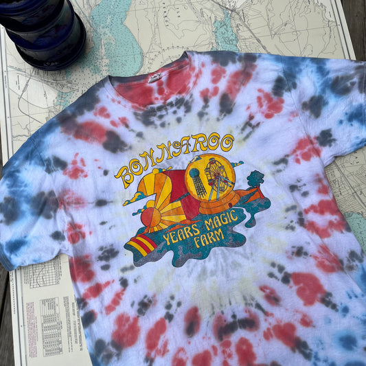 Bonnaroo 20th Anniversary Tie Dye Graphic Tee