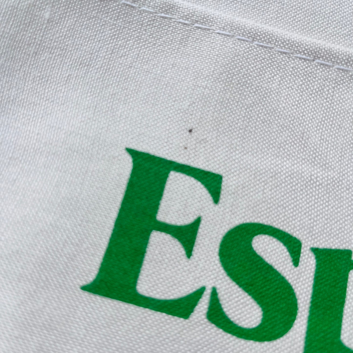 Vintage Esprit Vacations Carry-On Travel Bag