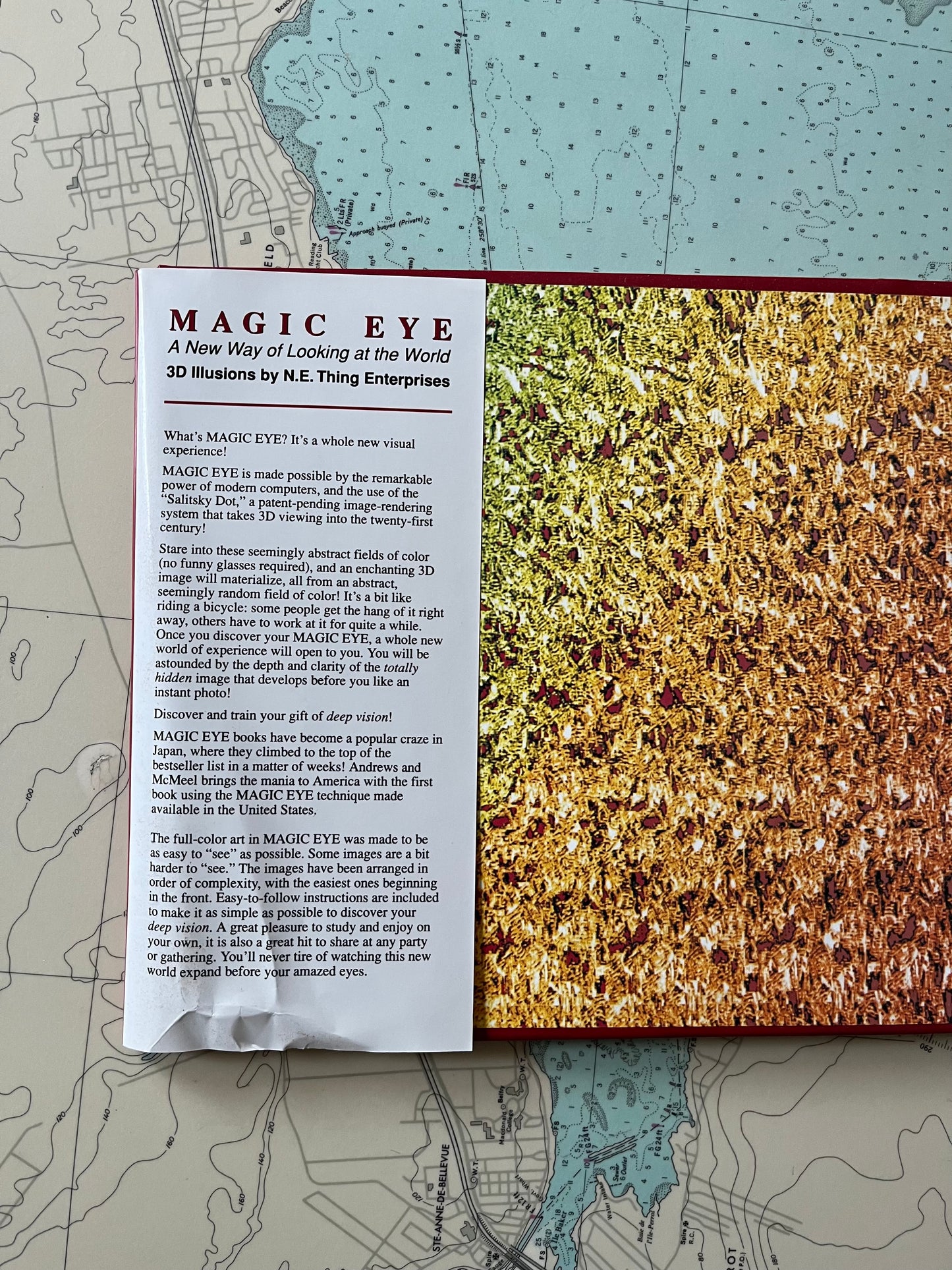 Vintage 1994 Magic Eye : A New Way of Looking at the World