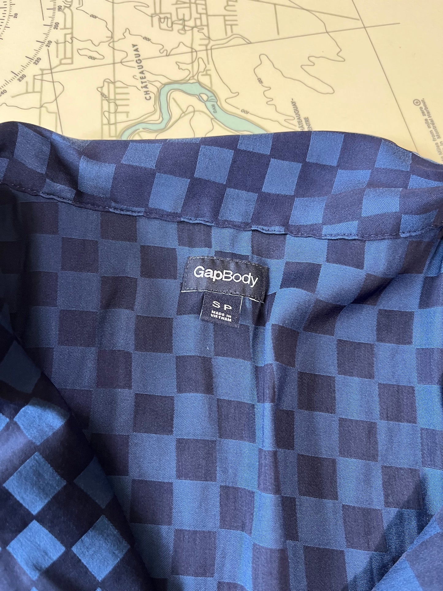 Gap Body Blue on Blue Checkered Blouse