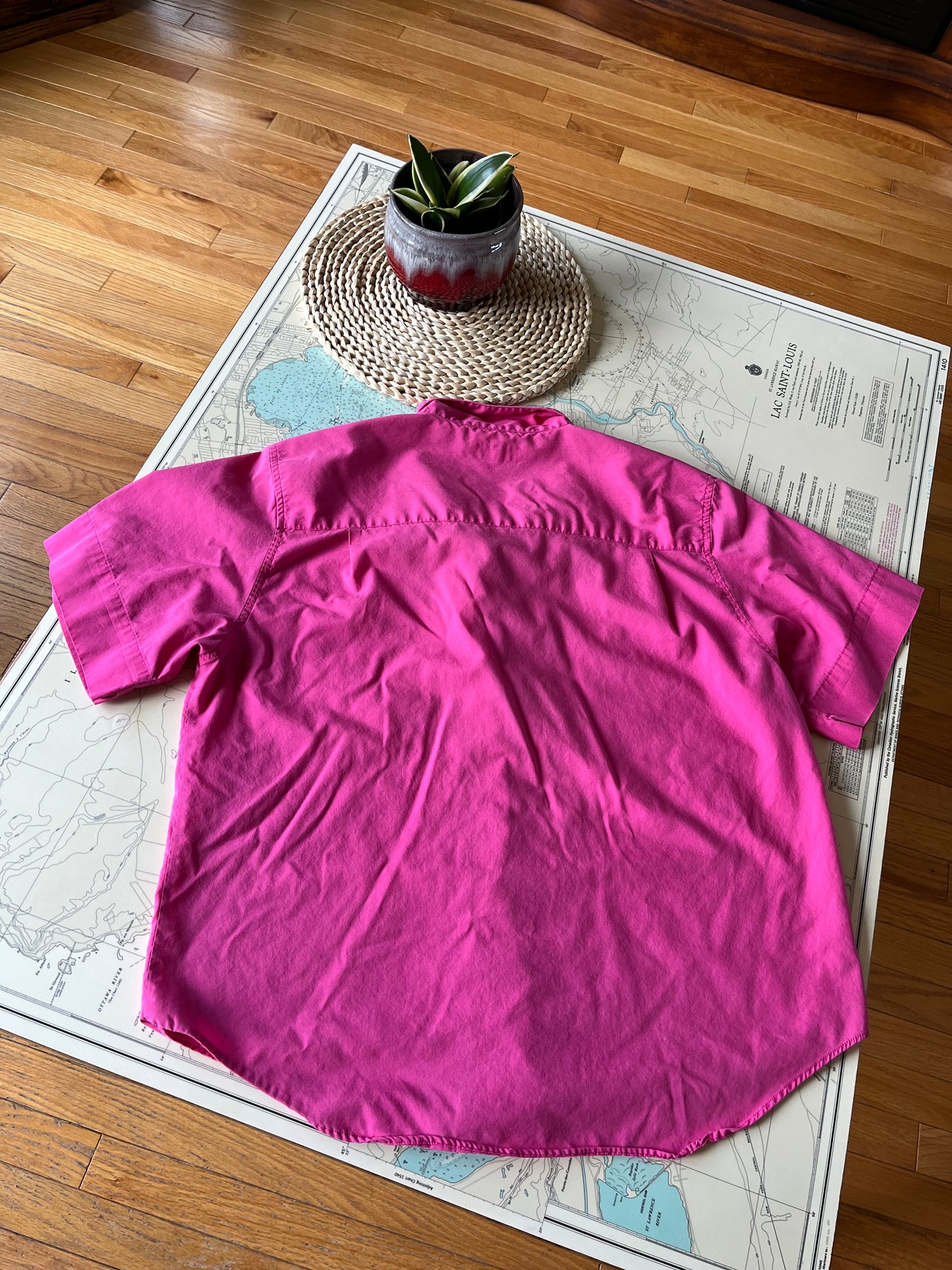 Vintage Pink Carriage Court Cropped Button Up