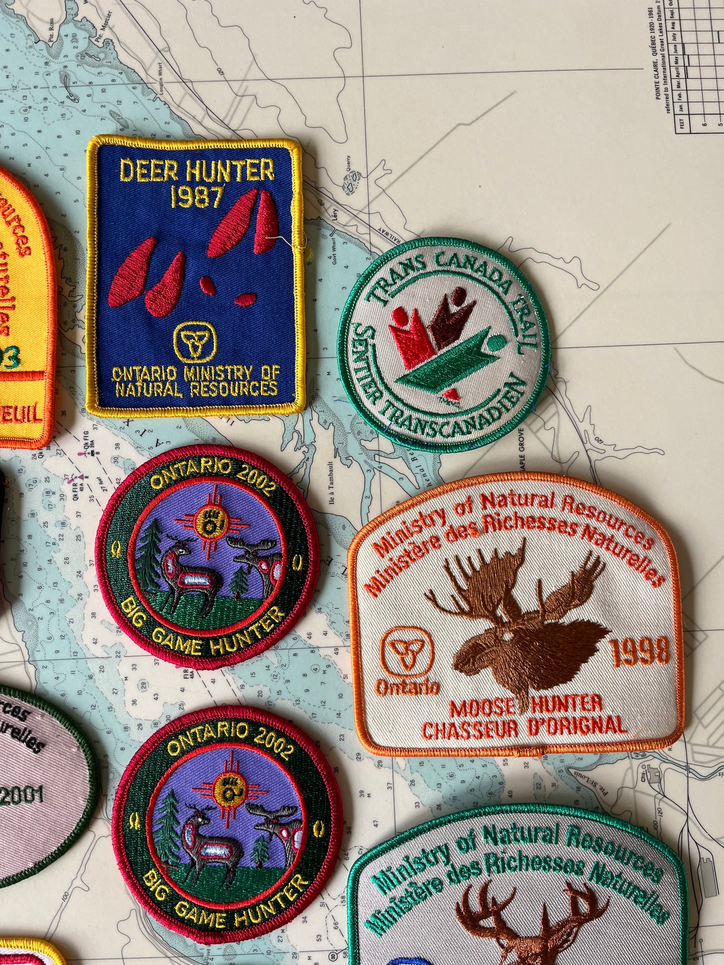 Vintage Collection of Yearly Hunting Badges Lot of 16