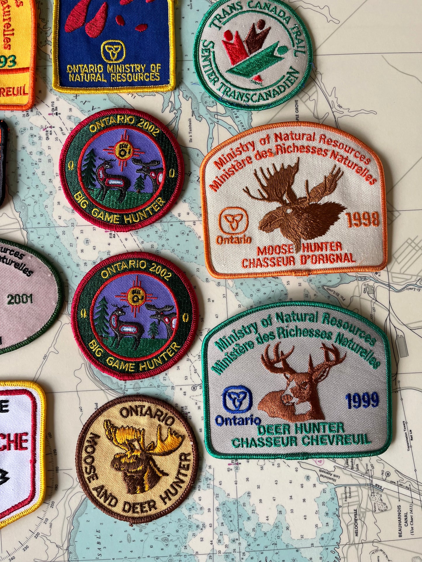 Vintage Collection of Yearly Hunting Badges Lot of 16