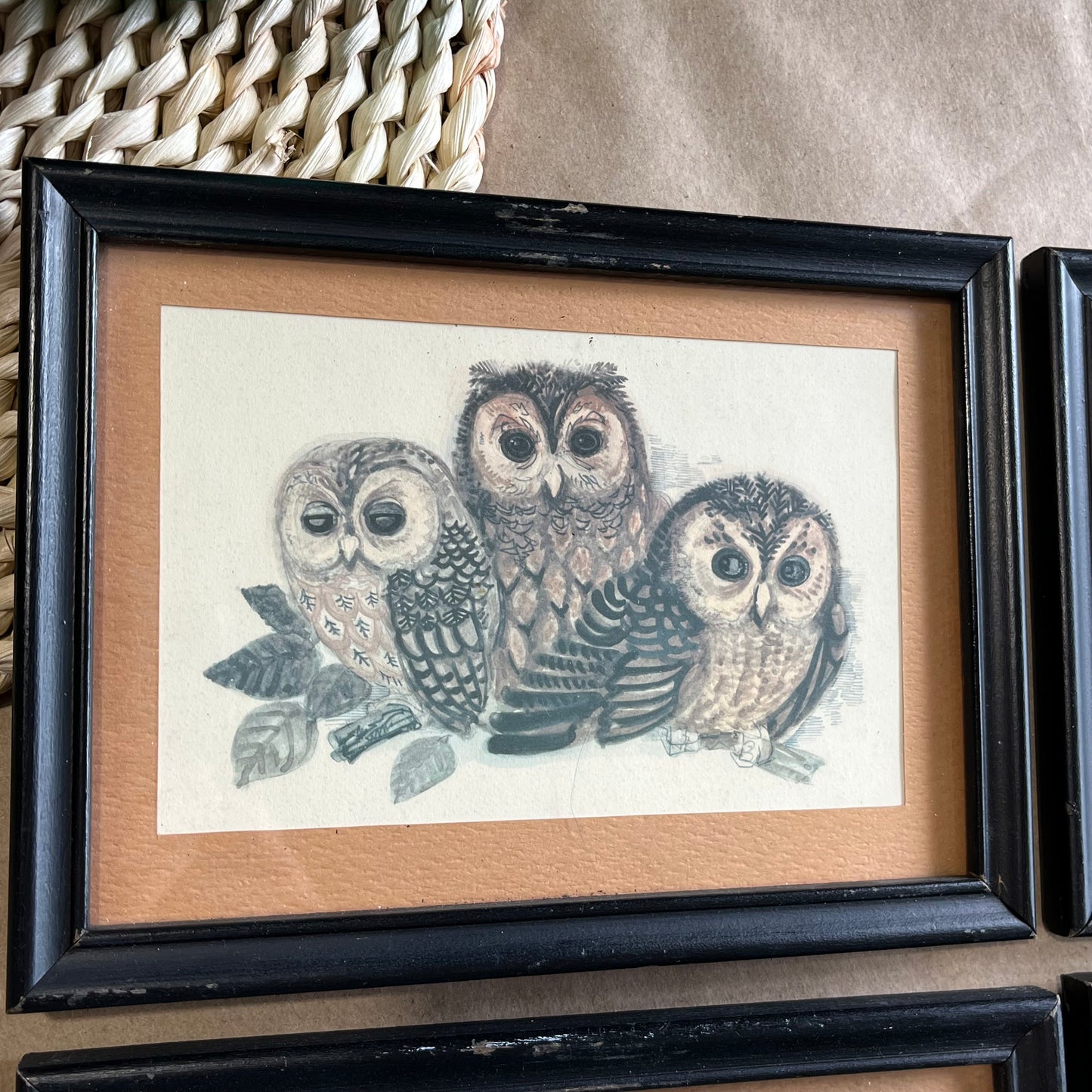 Vintage Set of Four Owl Family Framed Prints