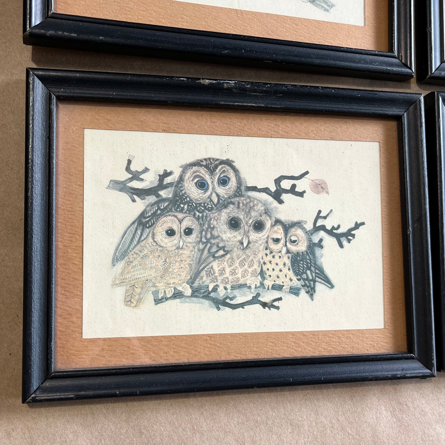 Vintage Set of Four Owl Family Framed Prints