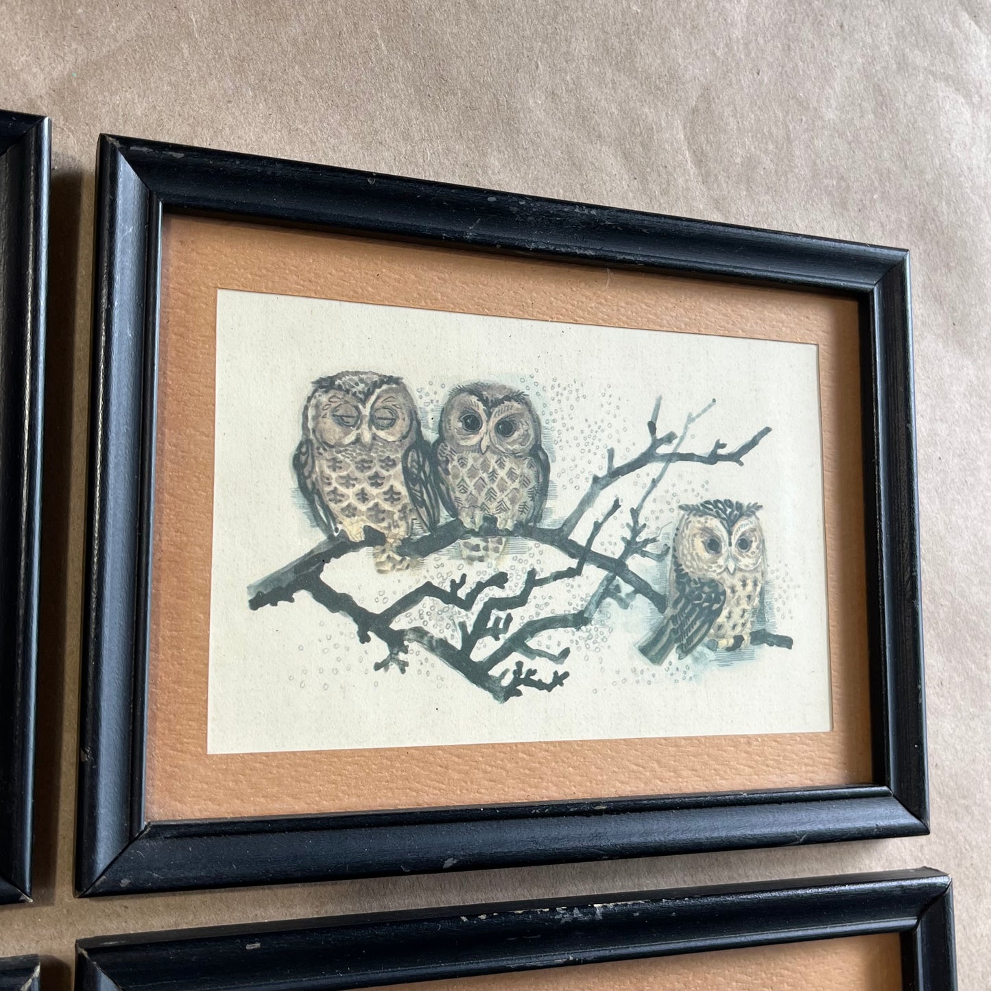 Vintage Set of Four Owl Family Framed Prints
