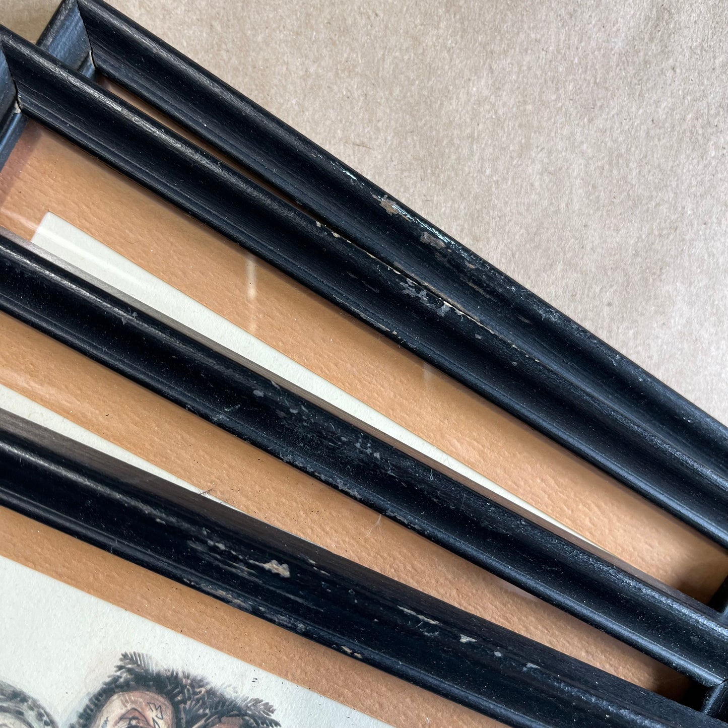 Vintage Set of Four Owl Family Framed Prints