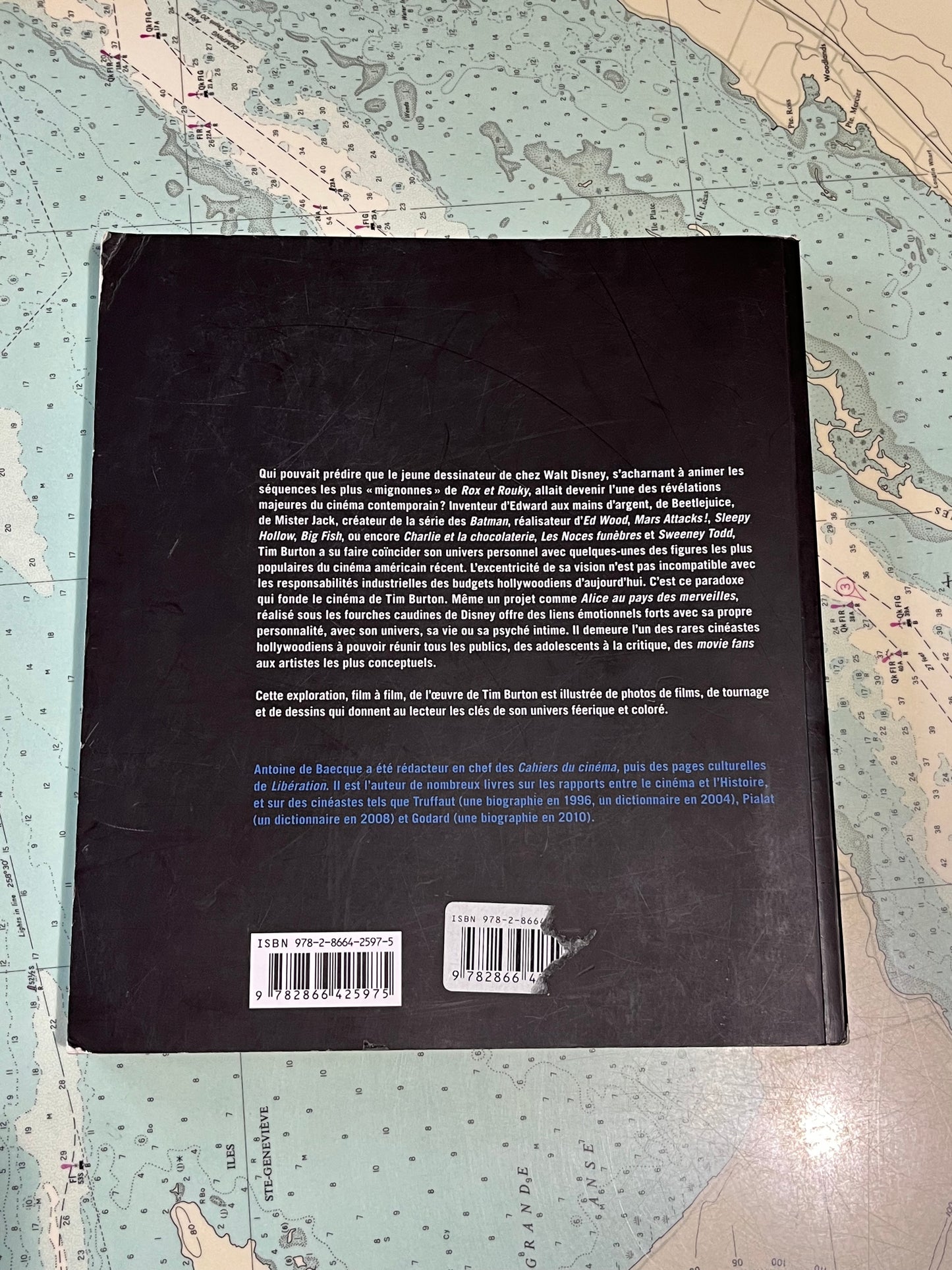 Tim Burton by Antoine De Baecque Softcover Book French
