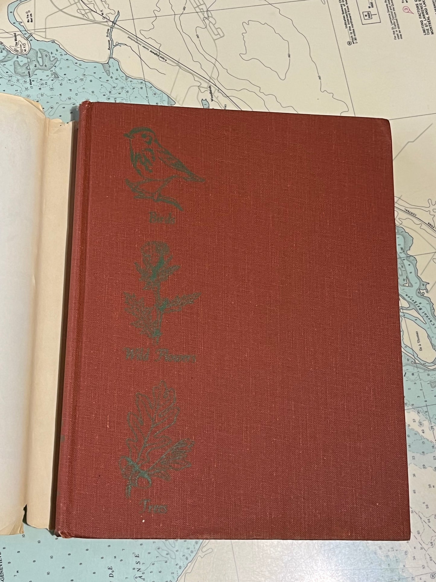 Vintage 1955 An Introduction to Nature by John Kieran