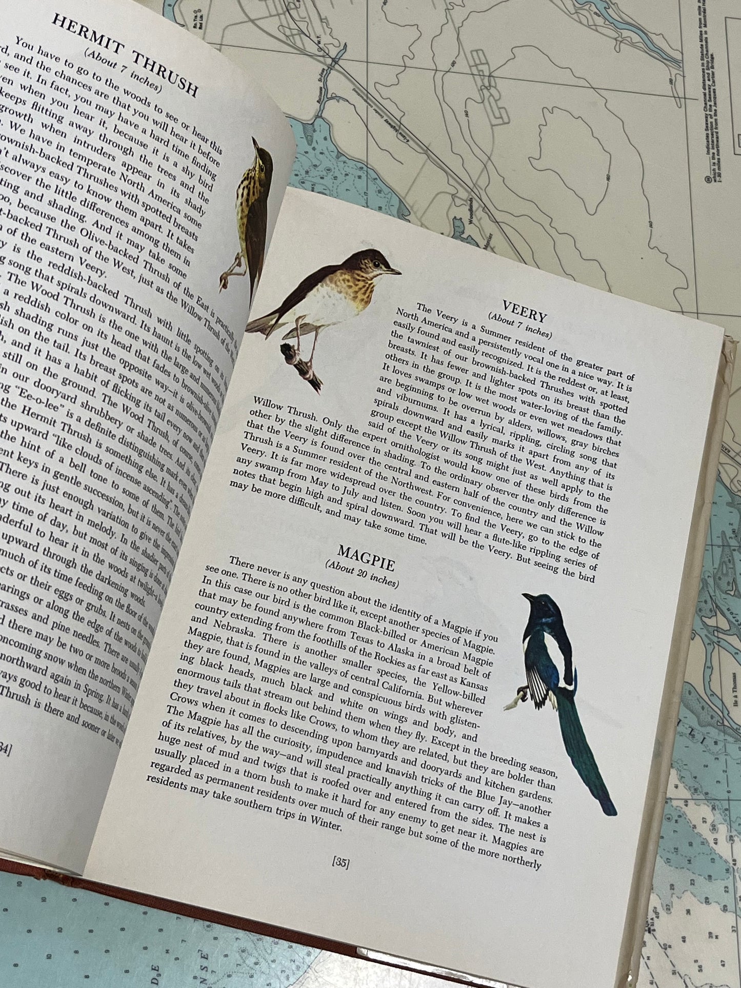 Vintage 1955 An Introduction to Nature by John Kieran