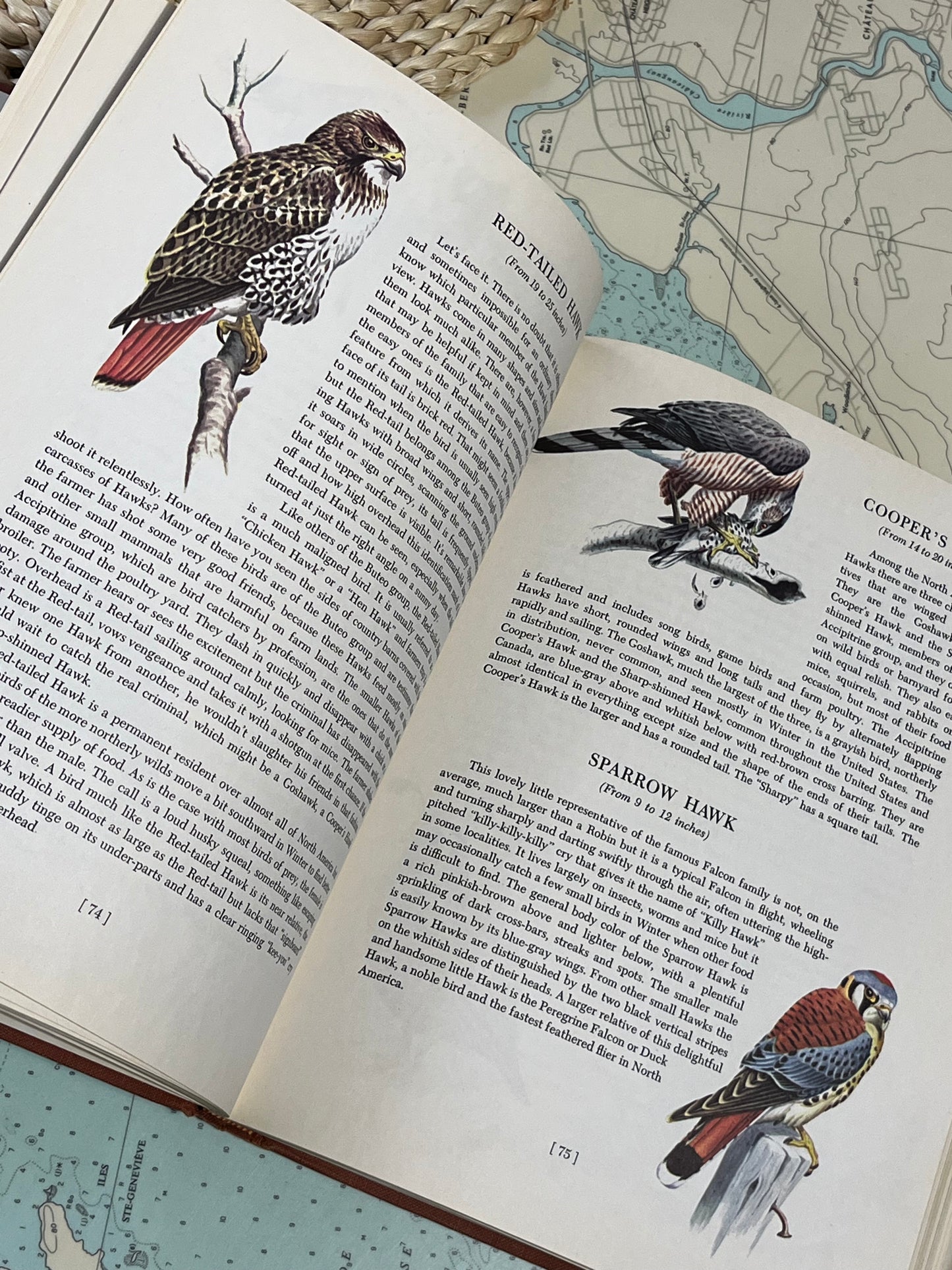 Vintage 1955 An Introduction to Nature by John Kieran
