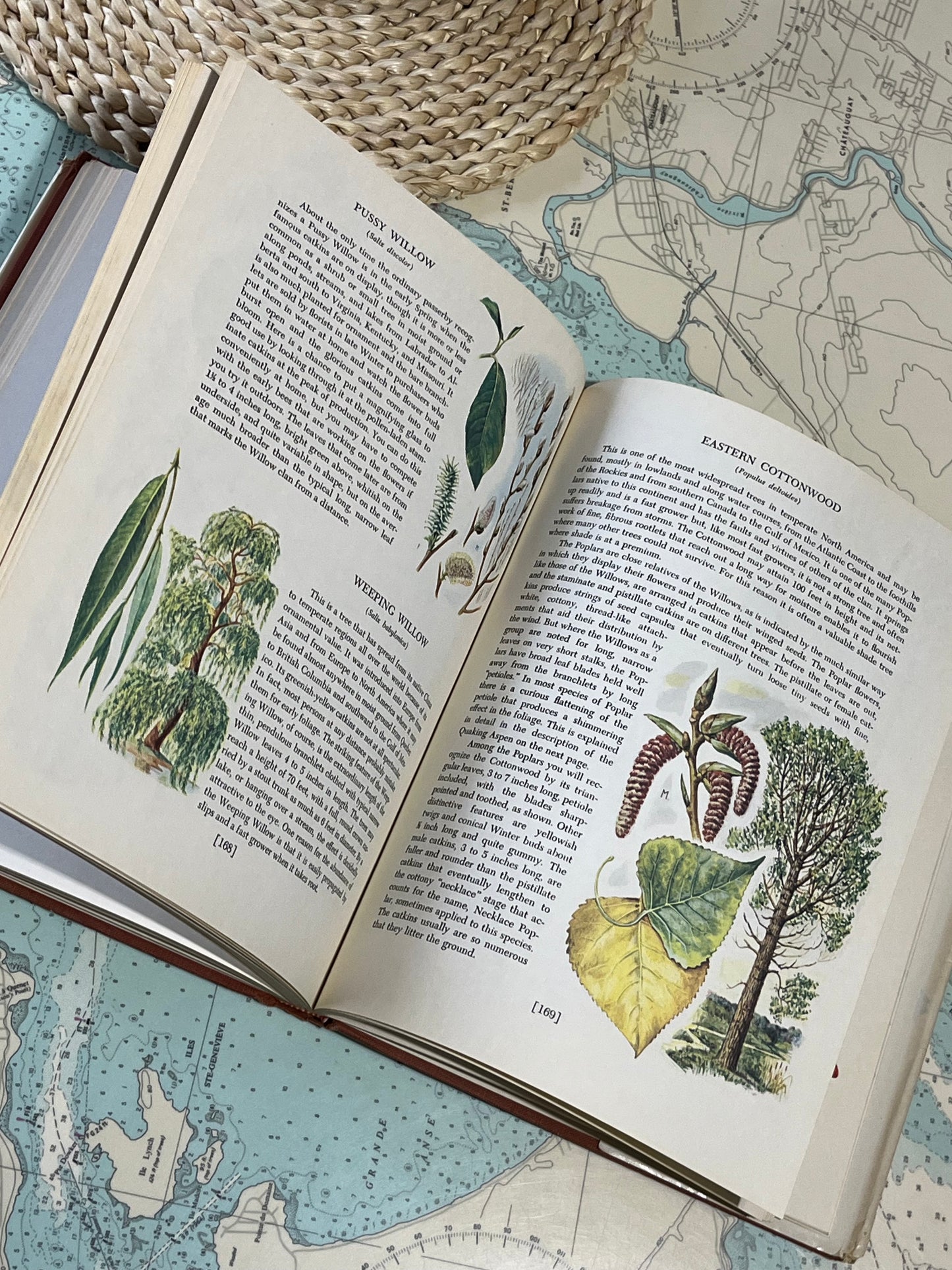 Vintage 1955 An Introduction to Nature by John Kieran
