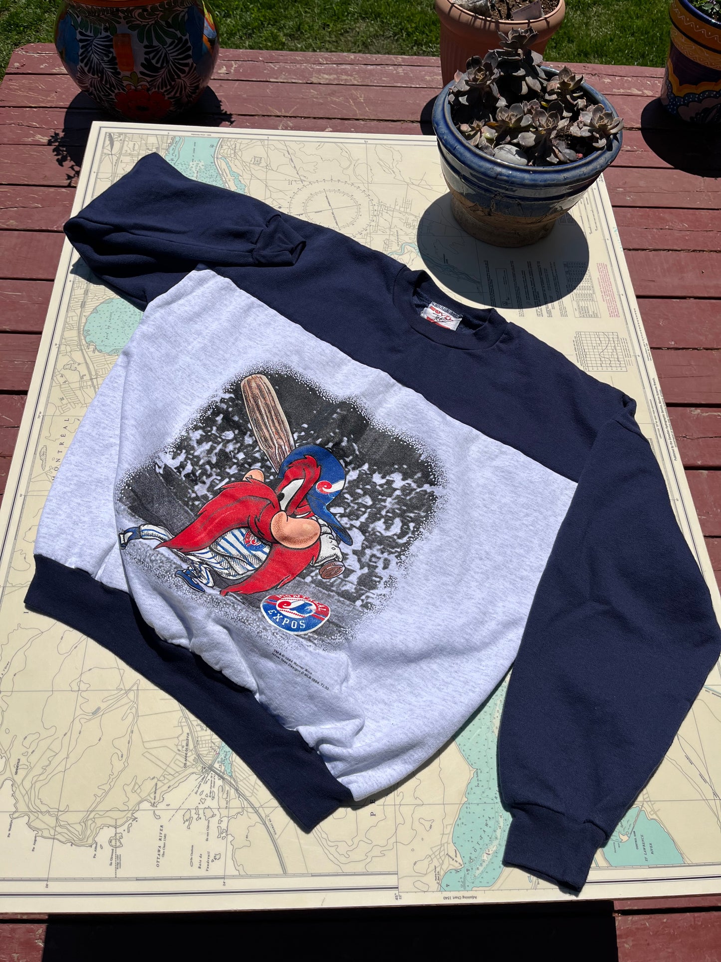 Vintage 1994 Montreal Expos Novel Teez Graphic Sweatshirt Yosemite Sam