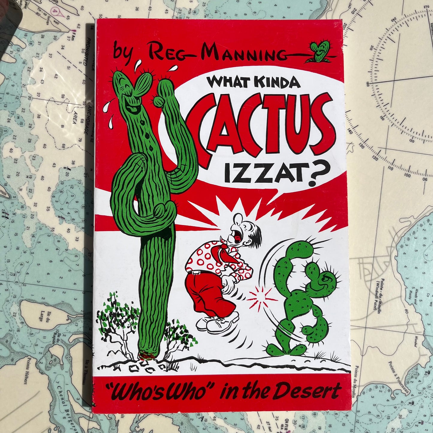 Vintage 60s What Kinda Cactus Izzat? by Reg Manning