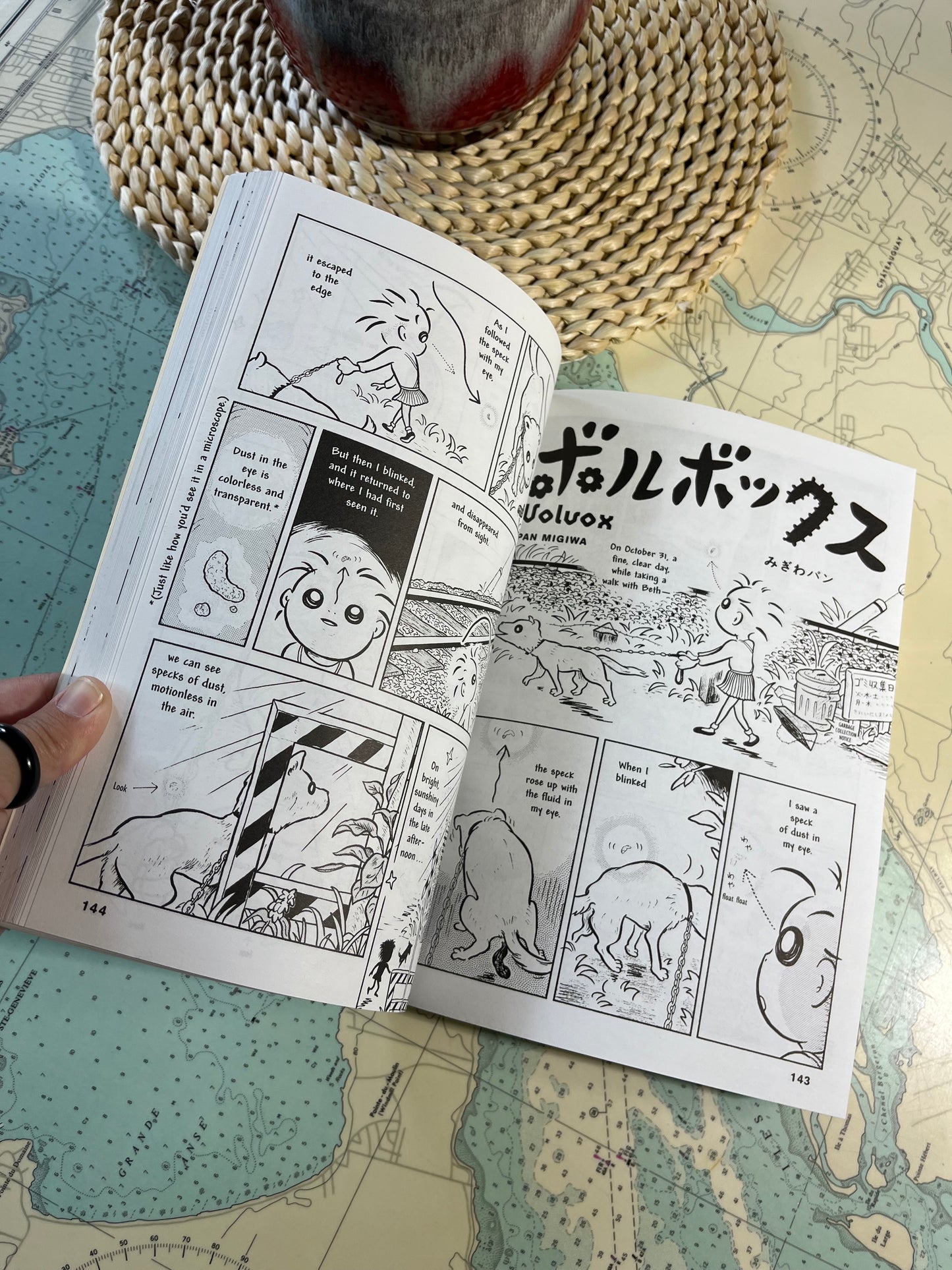 Vintage 1996 Comics Underground Japan Softcover Book