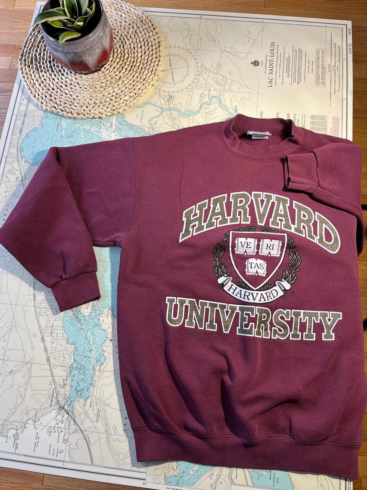 Vintage Lee Heavyweight Harvard Sweatshirt M