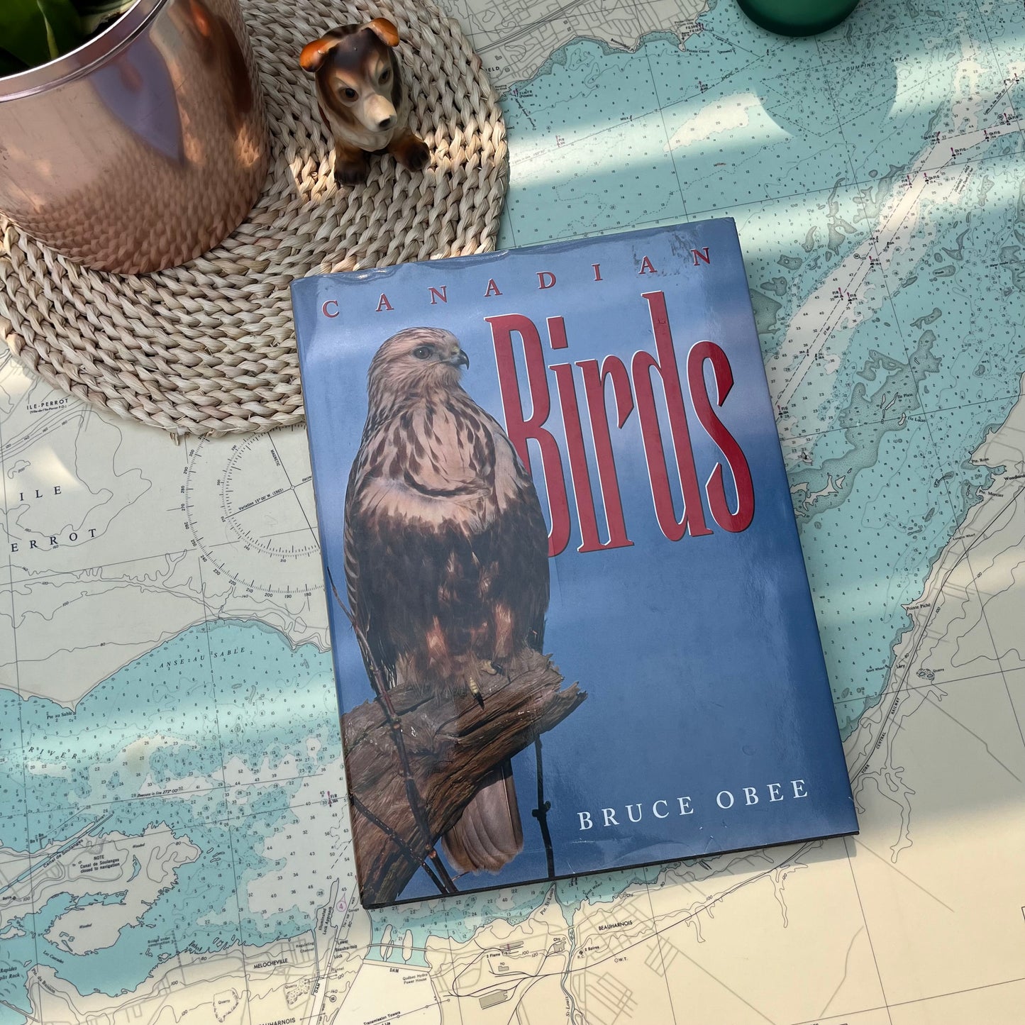 Vintage 1998 Canadian Birds by Bruce Obee Hardcover Book