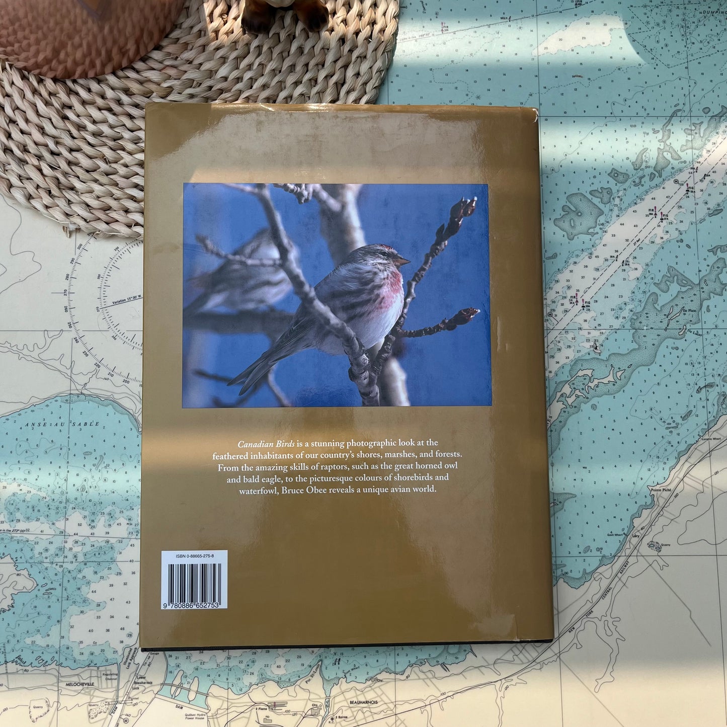 Vintage 1998 Canadian Birds by Bruce Obee Hardcover Book