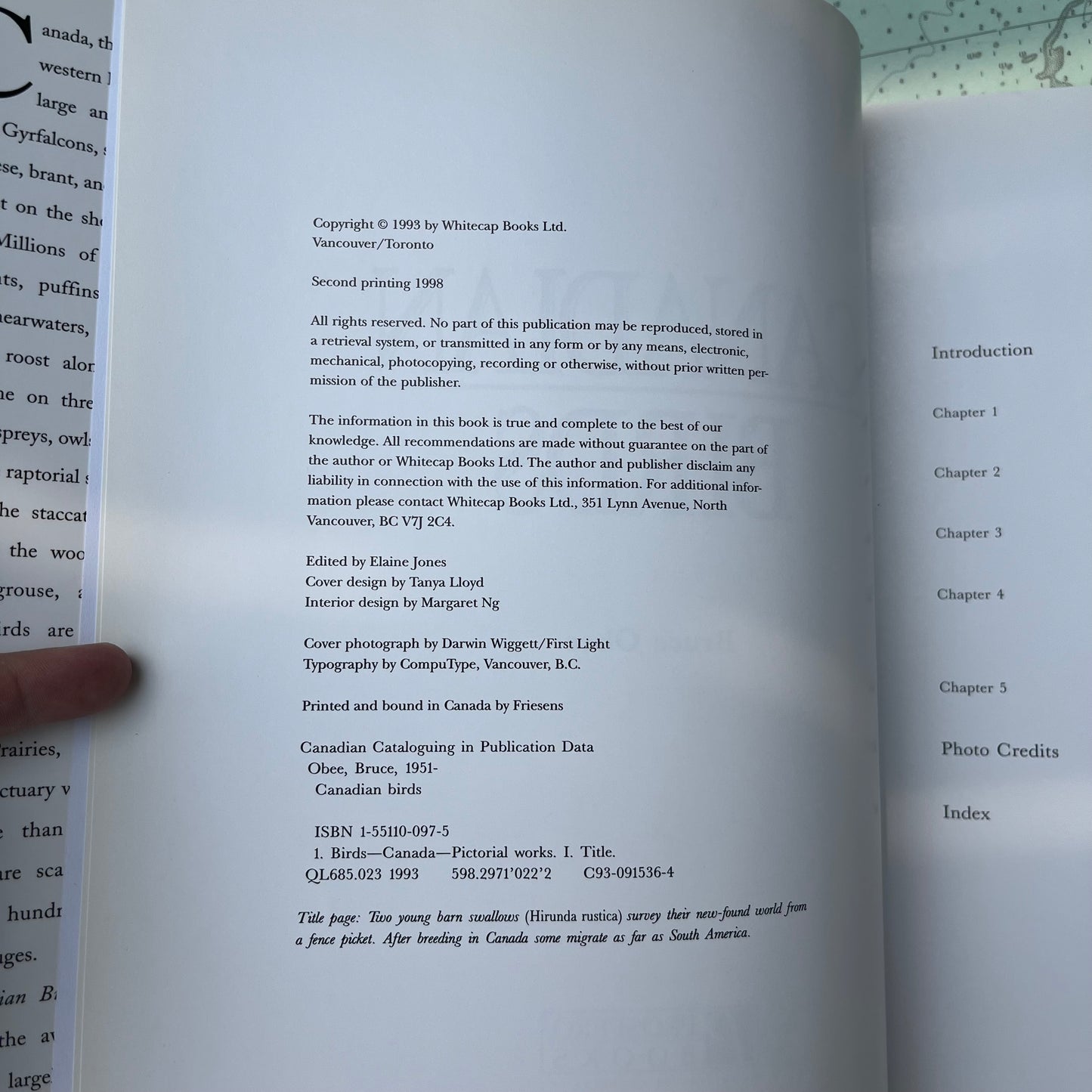 Vintage 1998 Canadian Birds by Bruce Obee Hardcover Book