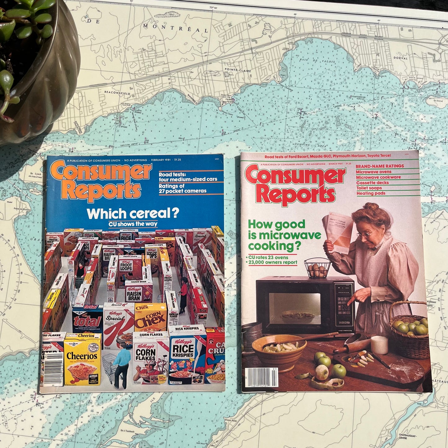 Vintage 1981 Consumer Reports Magazines Feb. & March