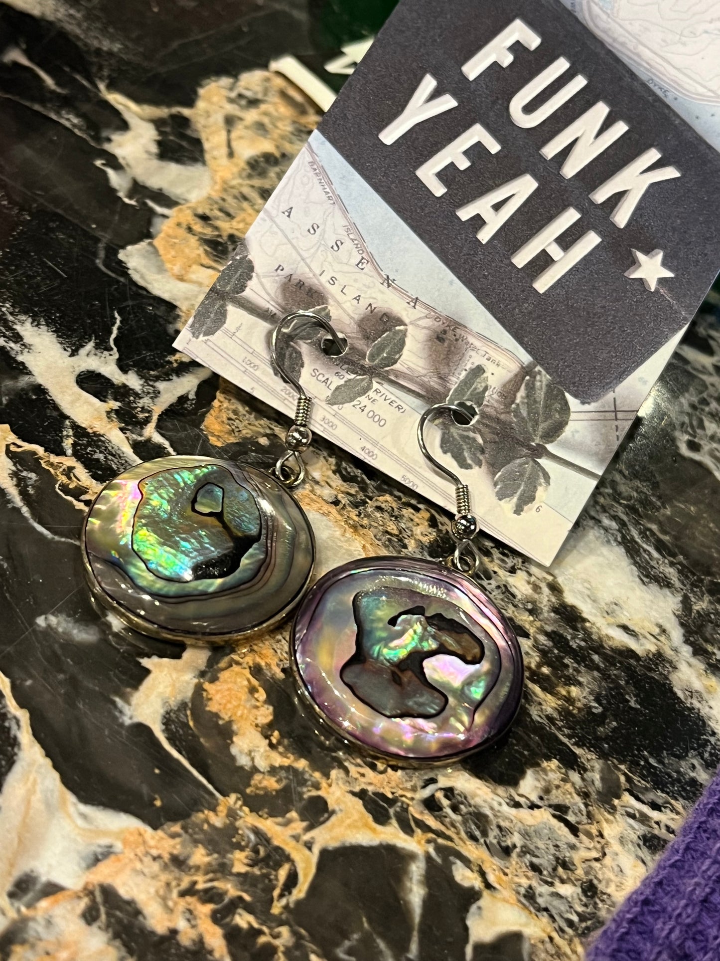 Vintage Sterling Silver and Abalone Disc Earrings