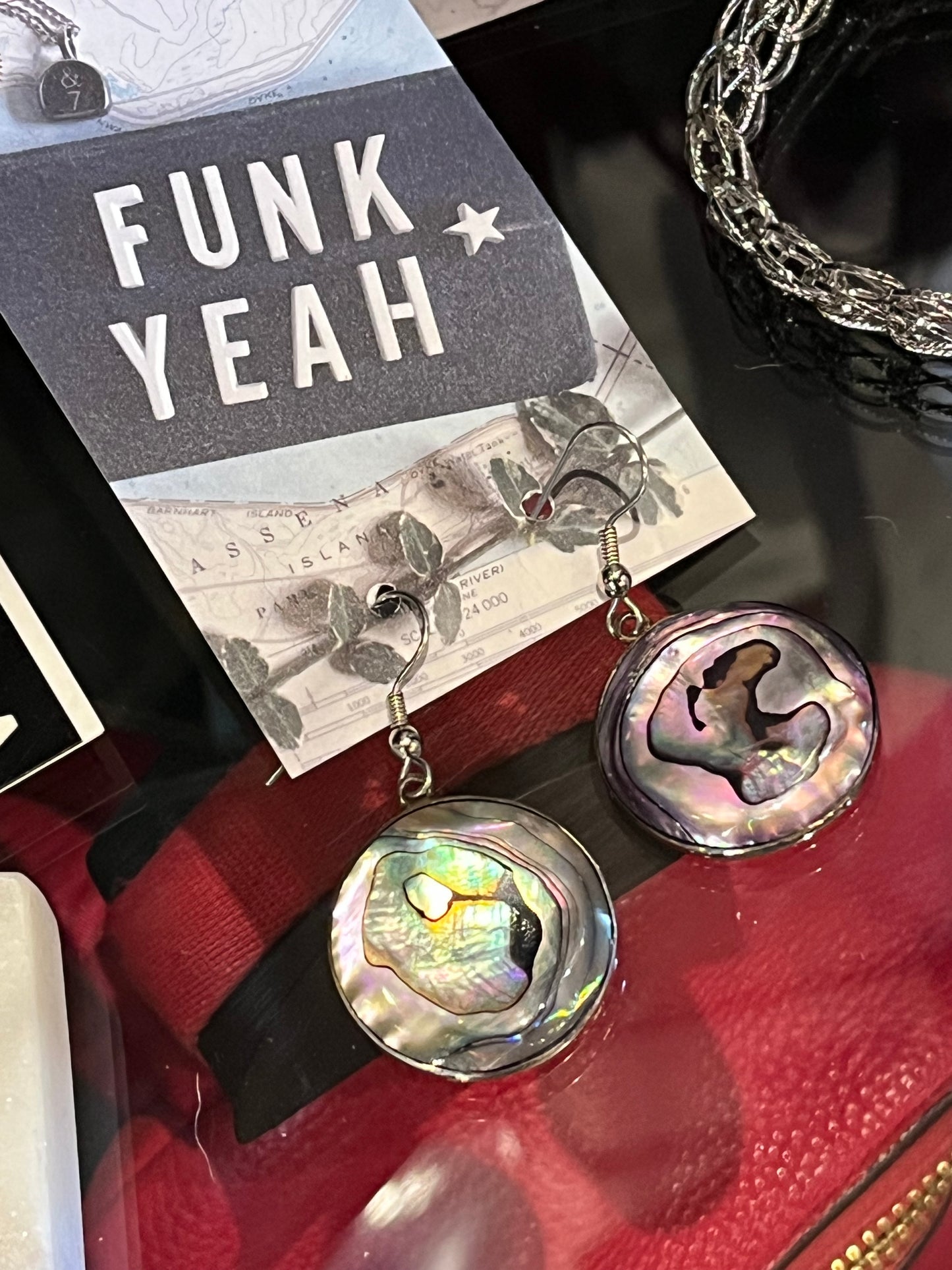 Vintage Sterling Silver and Abalone Disc Earrings