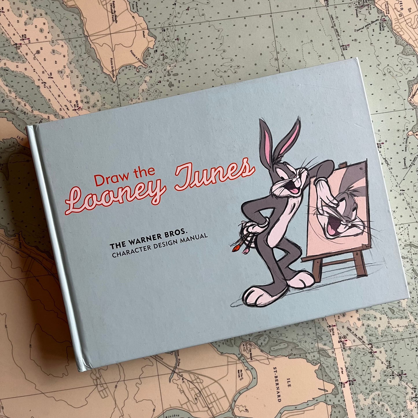 2005 Draw the Looney Tunes Hardcover Book