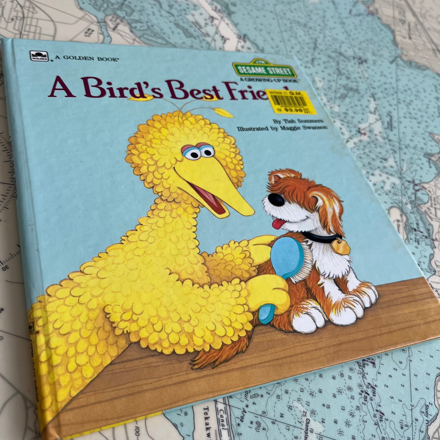 Vintage 1986 A Birds Best Friend Sesame Street Golden Book