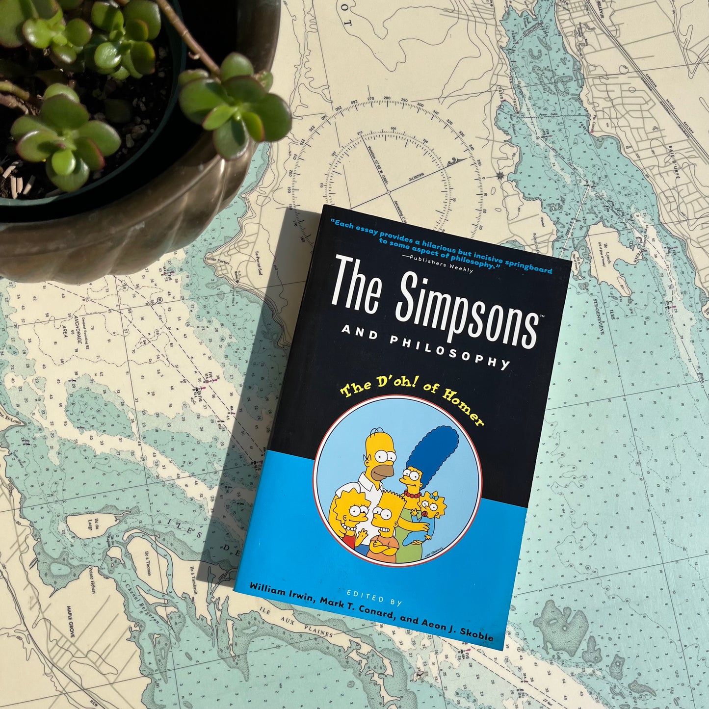 Vintage 2002 The Simpsons and Philosophy