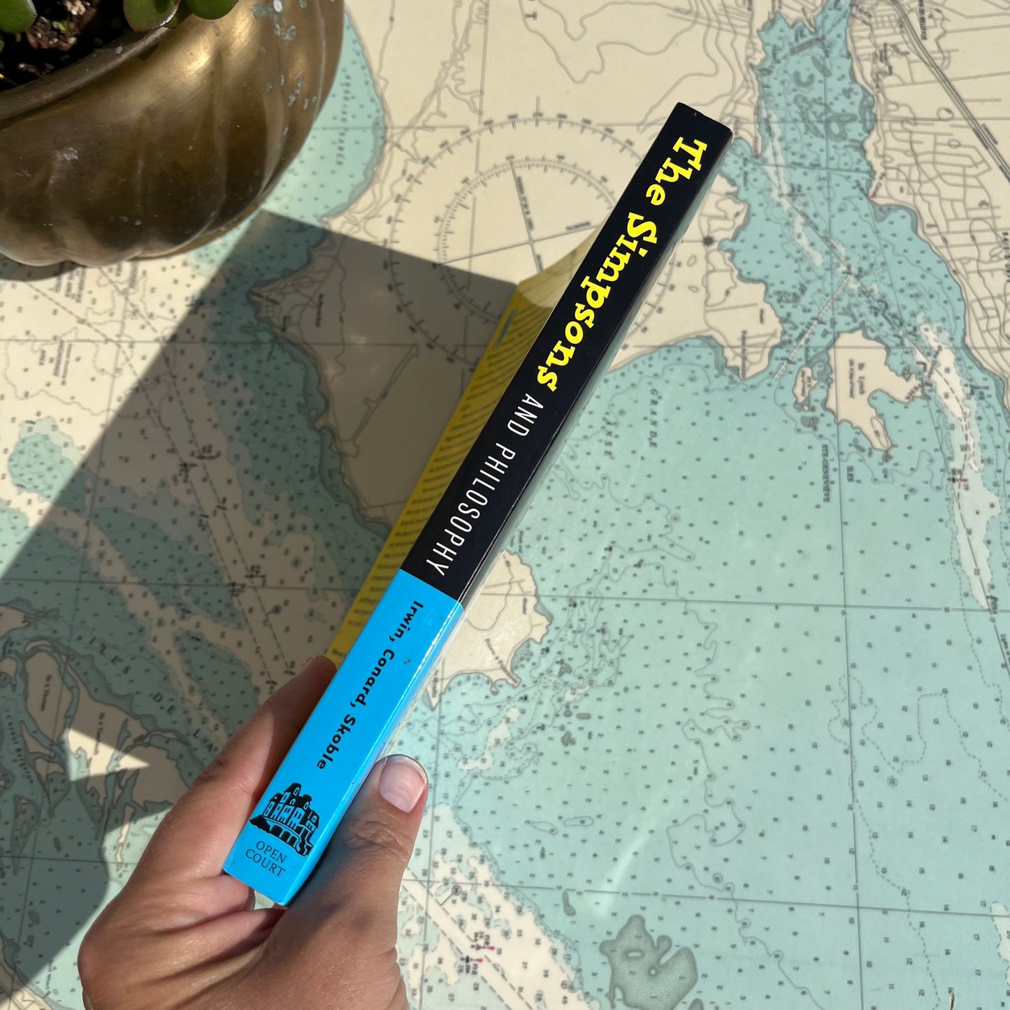 Vintage 2002 The Simpsons and Philosophy