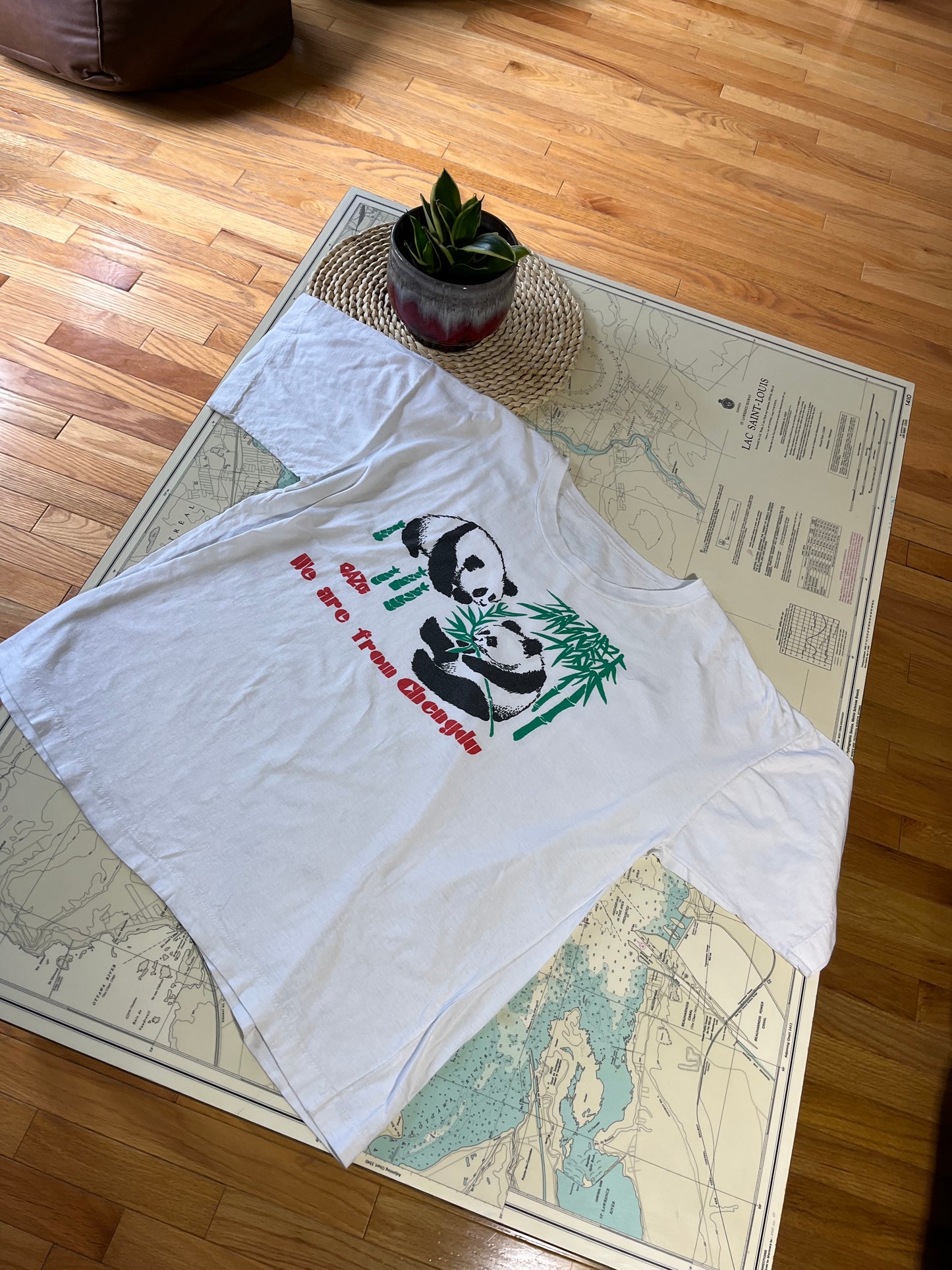 Vintage Panda Screen Print Graphic Single Stitch Tee Shirt