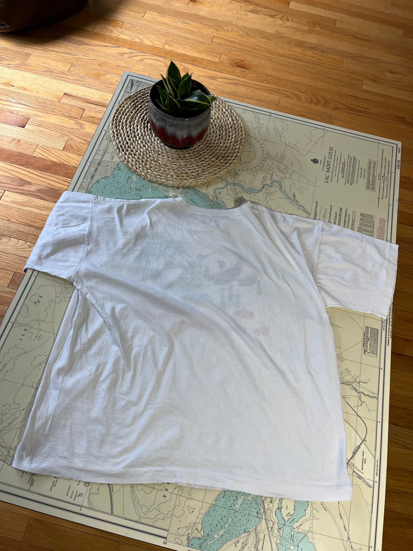 Vintage Panda Screen Print Graphic Single Stitch Tee Shirt