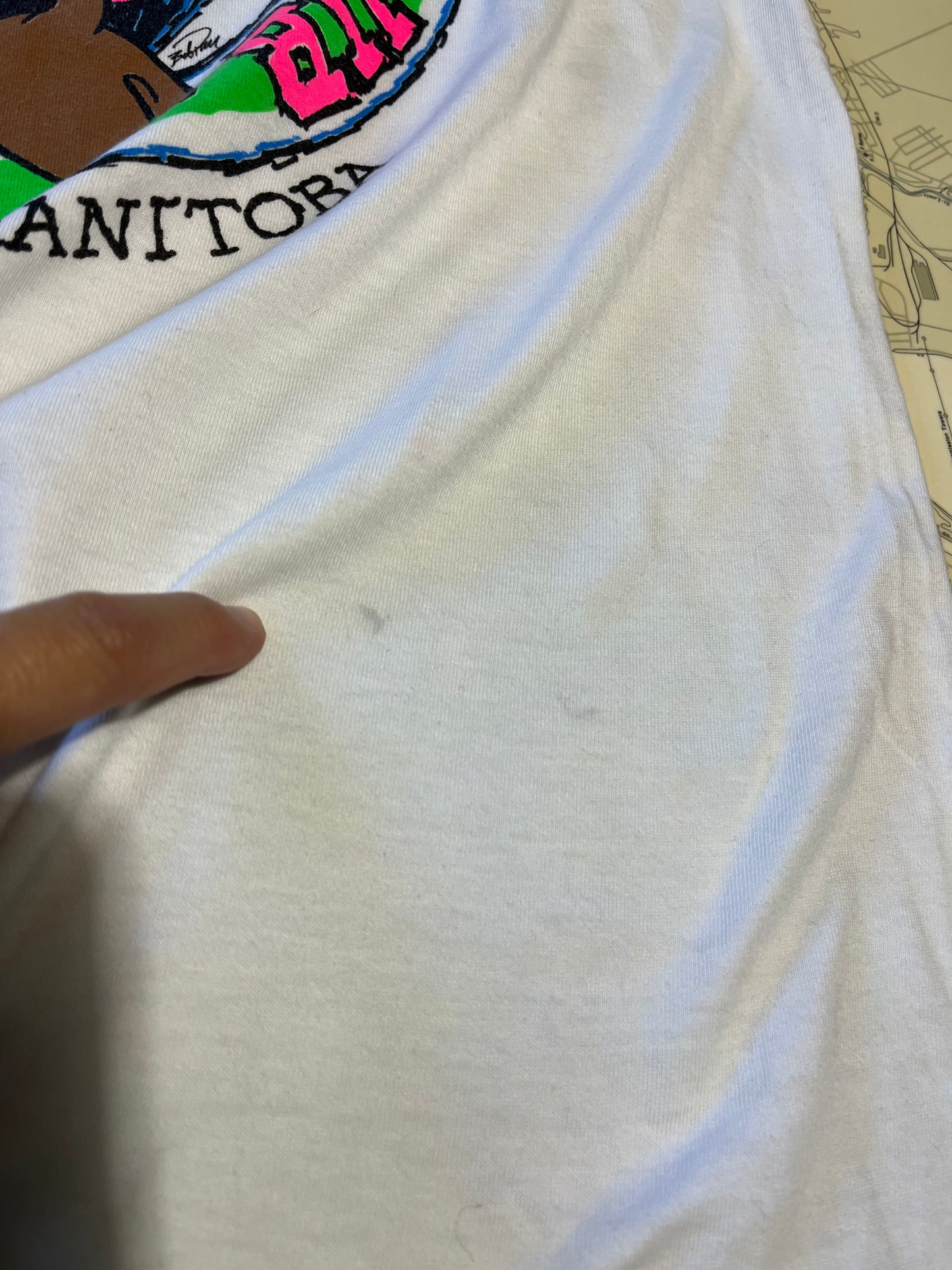 Vintage 1990 Bison Athletic Club Winnipeg Graphic Tee Shirt