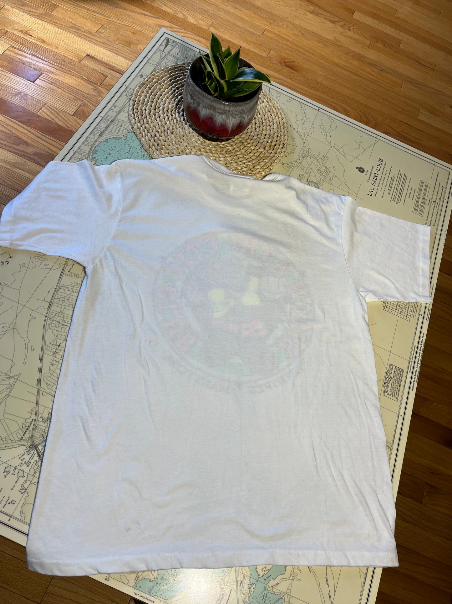 Vintage 1990 Bison Athletic Club Winnipeg Graphic Tee Shirt