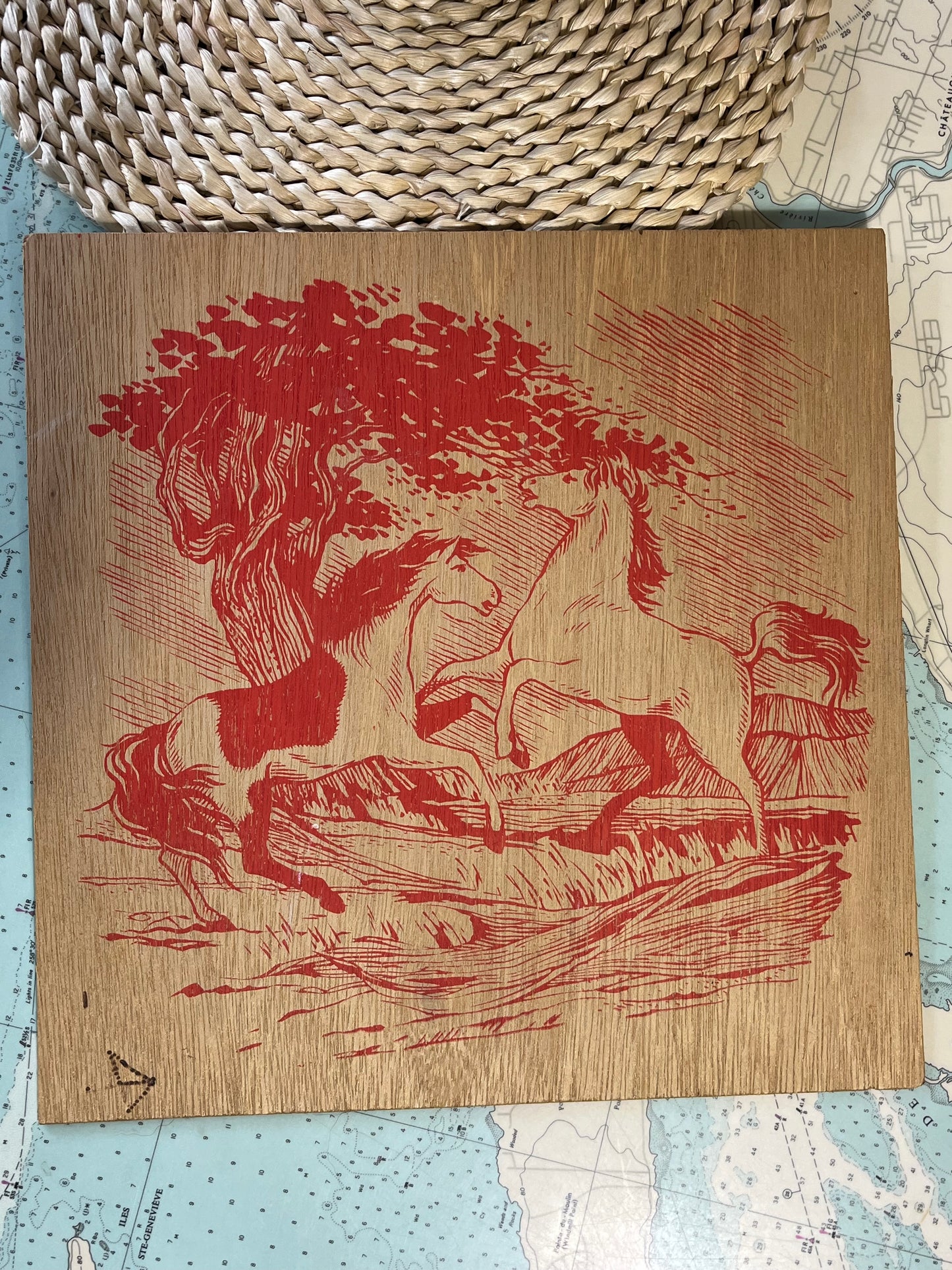 Vintage 80s Irwin Toys Pyrography Horse Wood Print