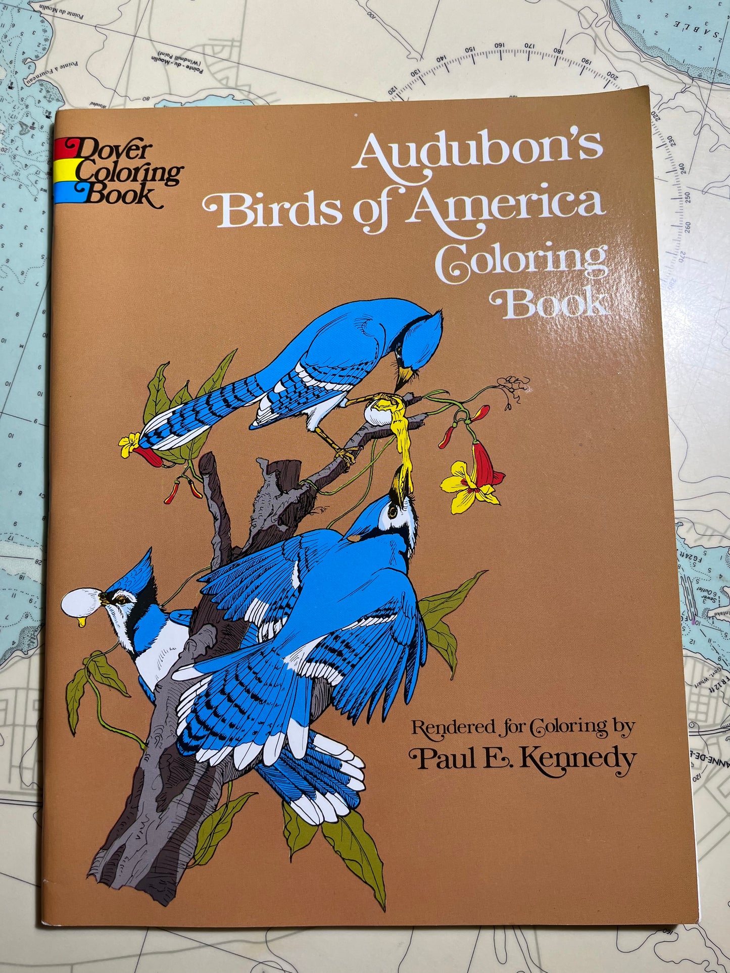 Audubon’s Birds of America Colouring Book