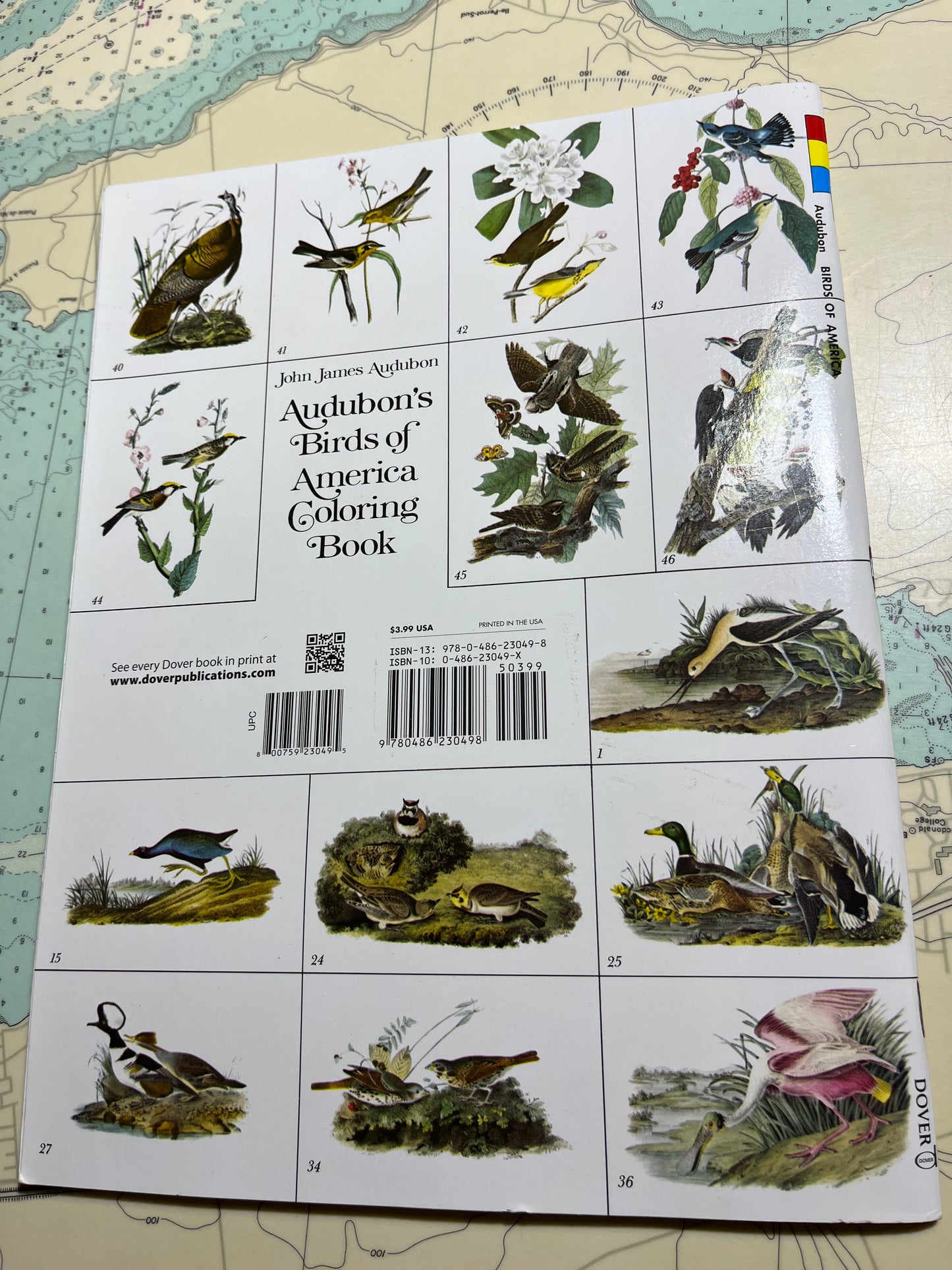 Audubon’s Birds of America Colouring Book
