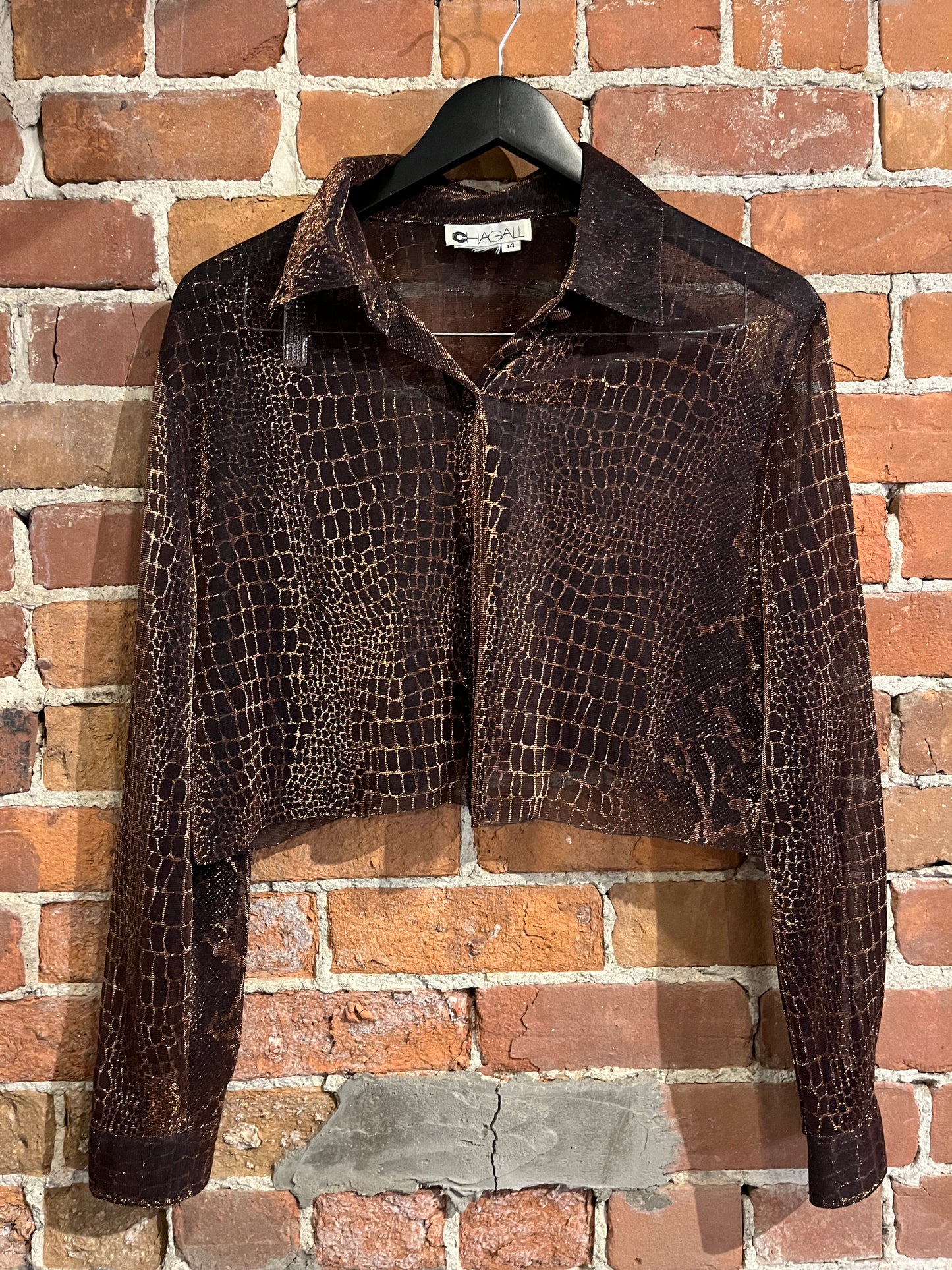 Vintage Chagall Sheer Copper Cropped Blouse