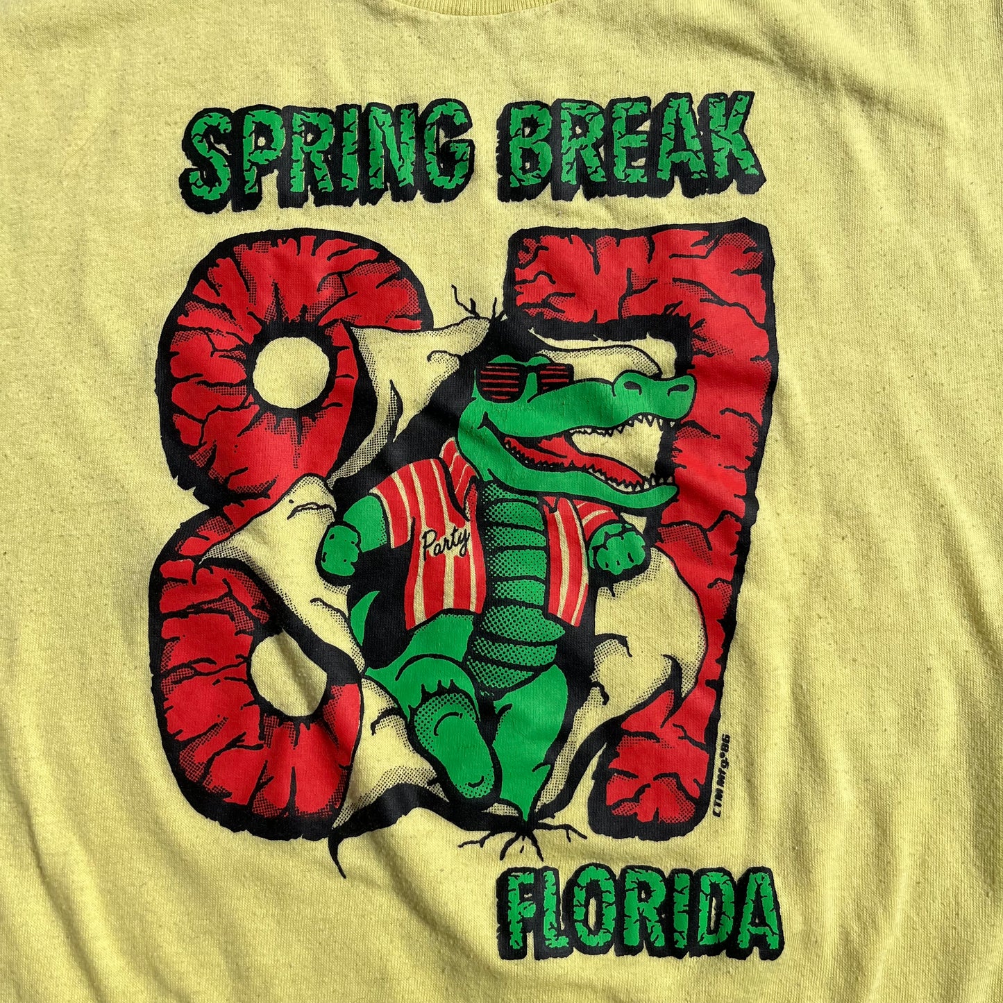 Vintage Spring Break Florida '87 Graphic Tee Shirt
