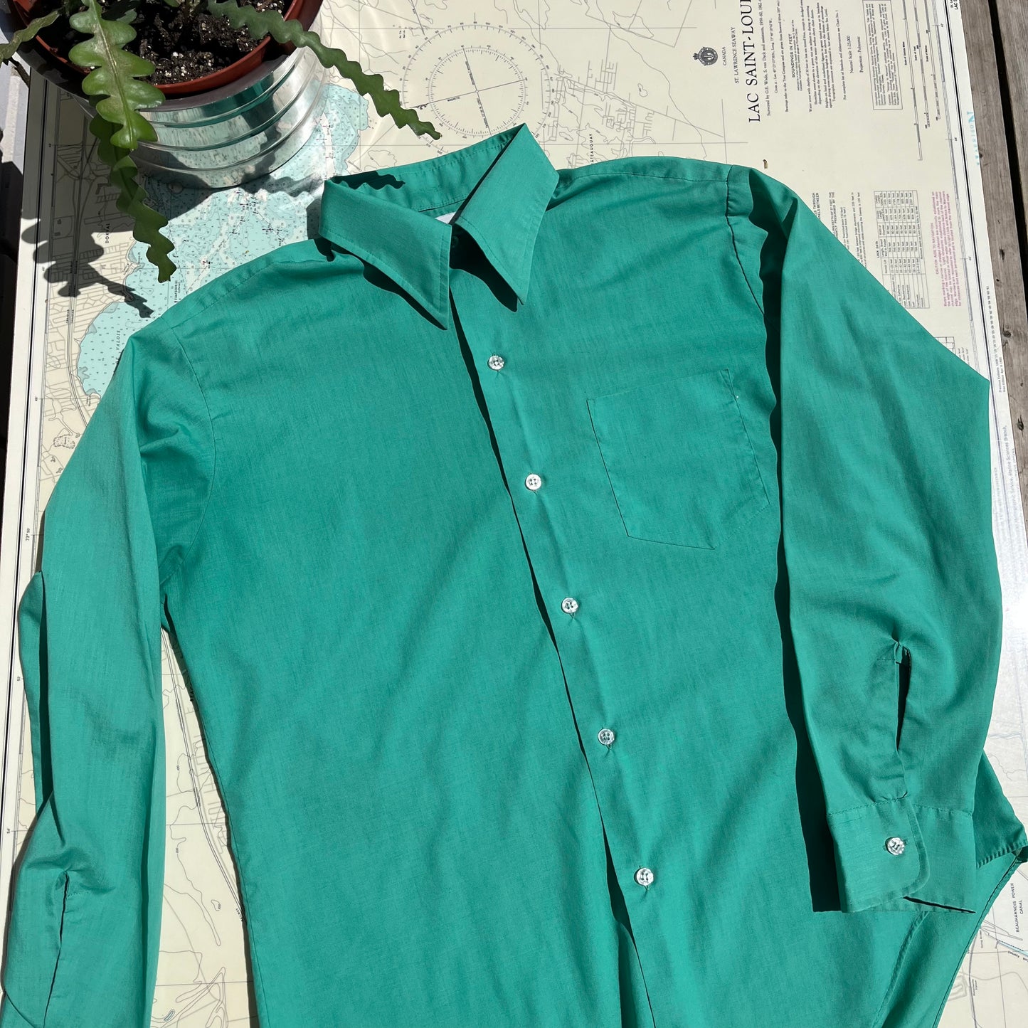Vintage Apple Green Mohawk Button Up Long Sleeve Shirt