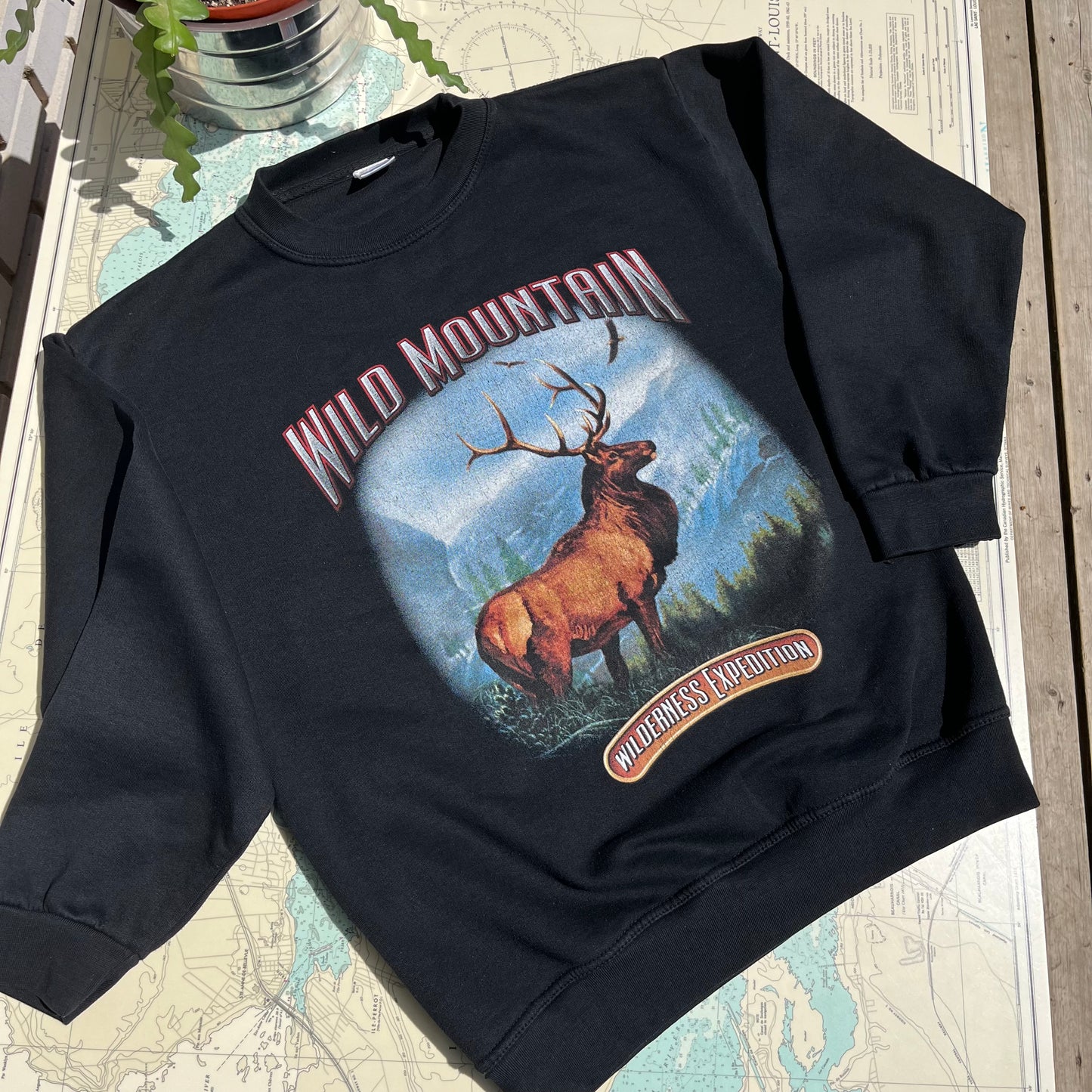 Vintage Wild Mountain Wilderness Expedition Sweatshirt