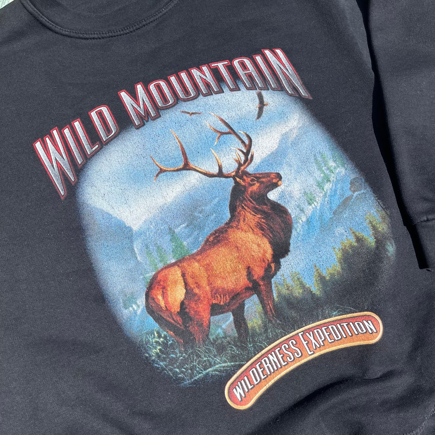 Vintage Wild Mountain Wilderness Expedition Sweatshirt