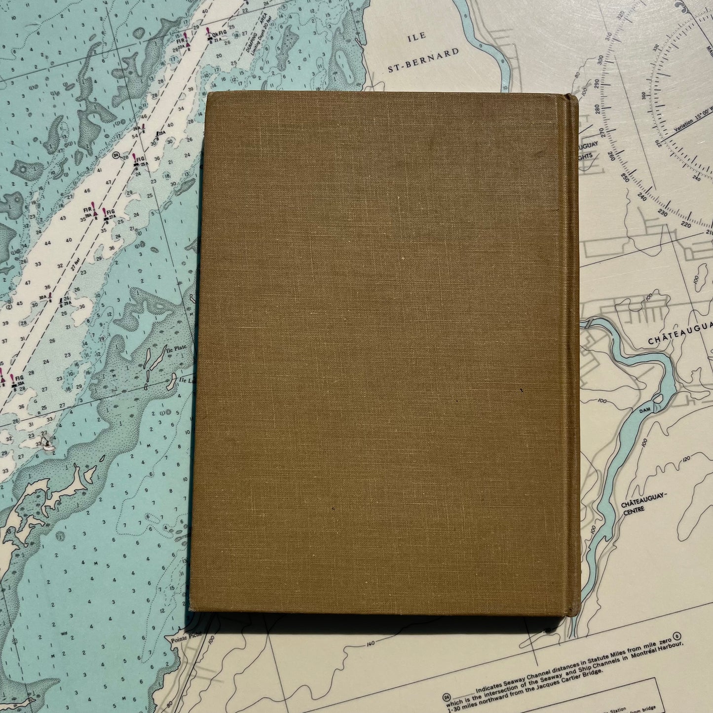Vintage 60s The King That Nobody Wanted Book