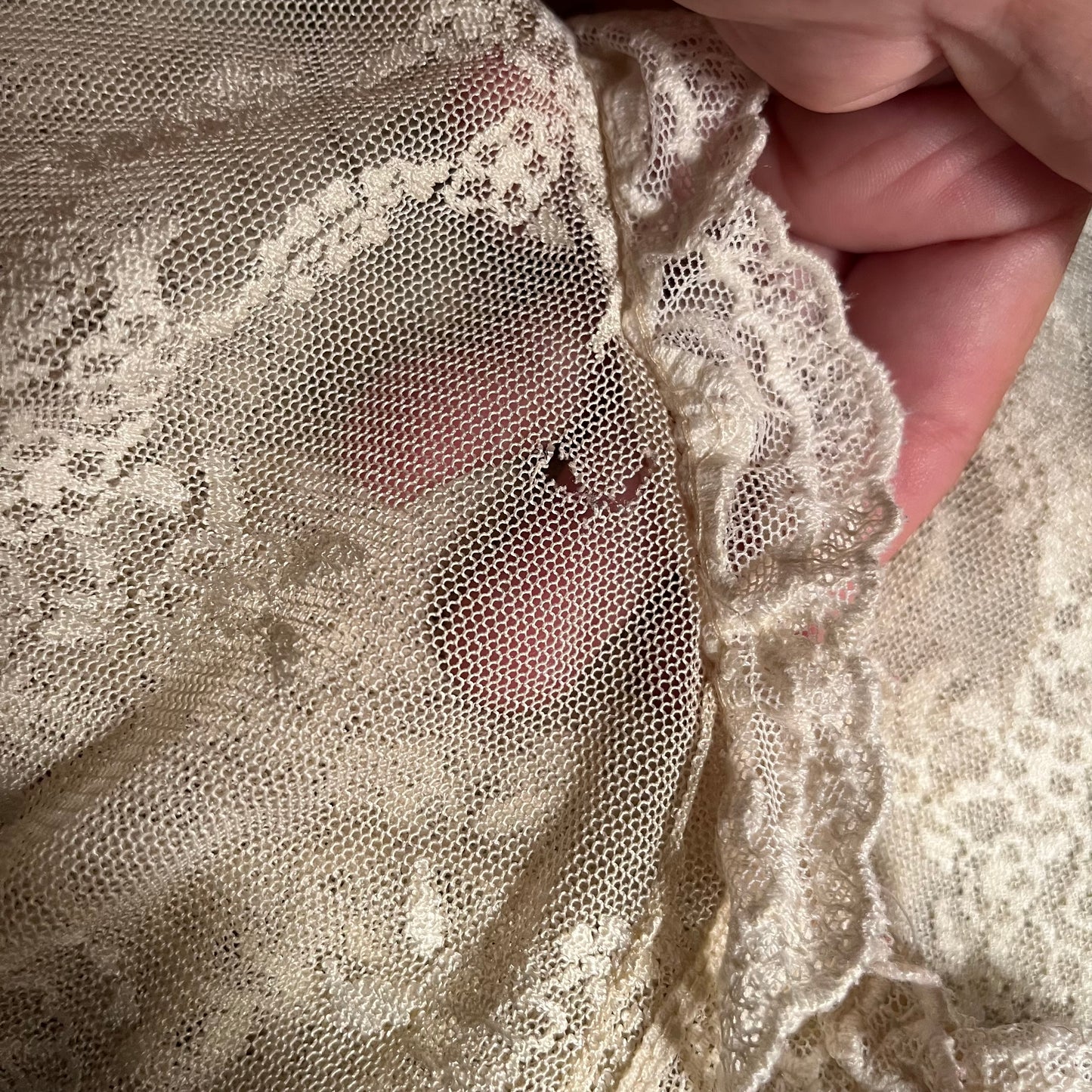 Miss Selfridge Sheer Lace Blouse / Top / Shirt