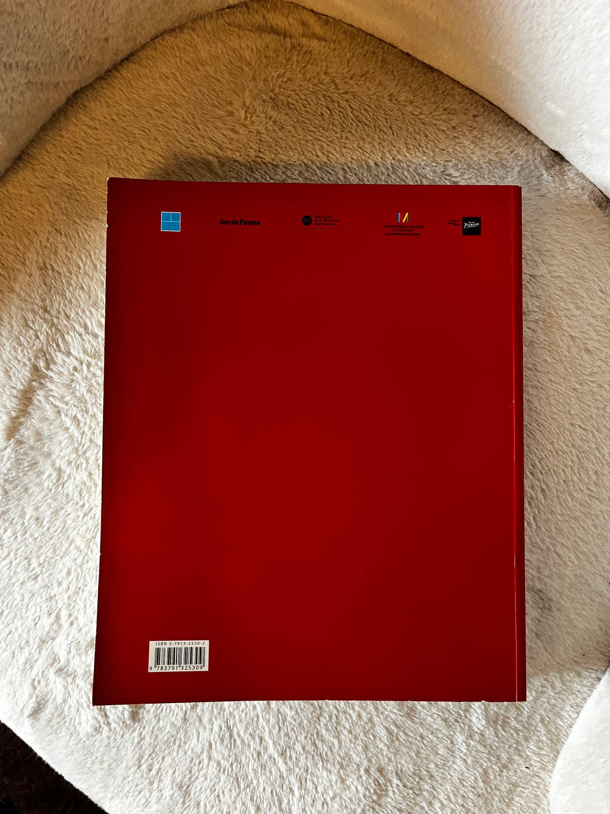 Vintage 2001 Picasso Erotique Softcover Book