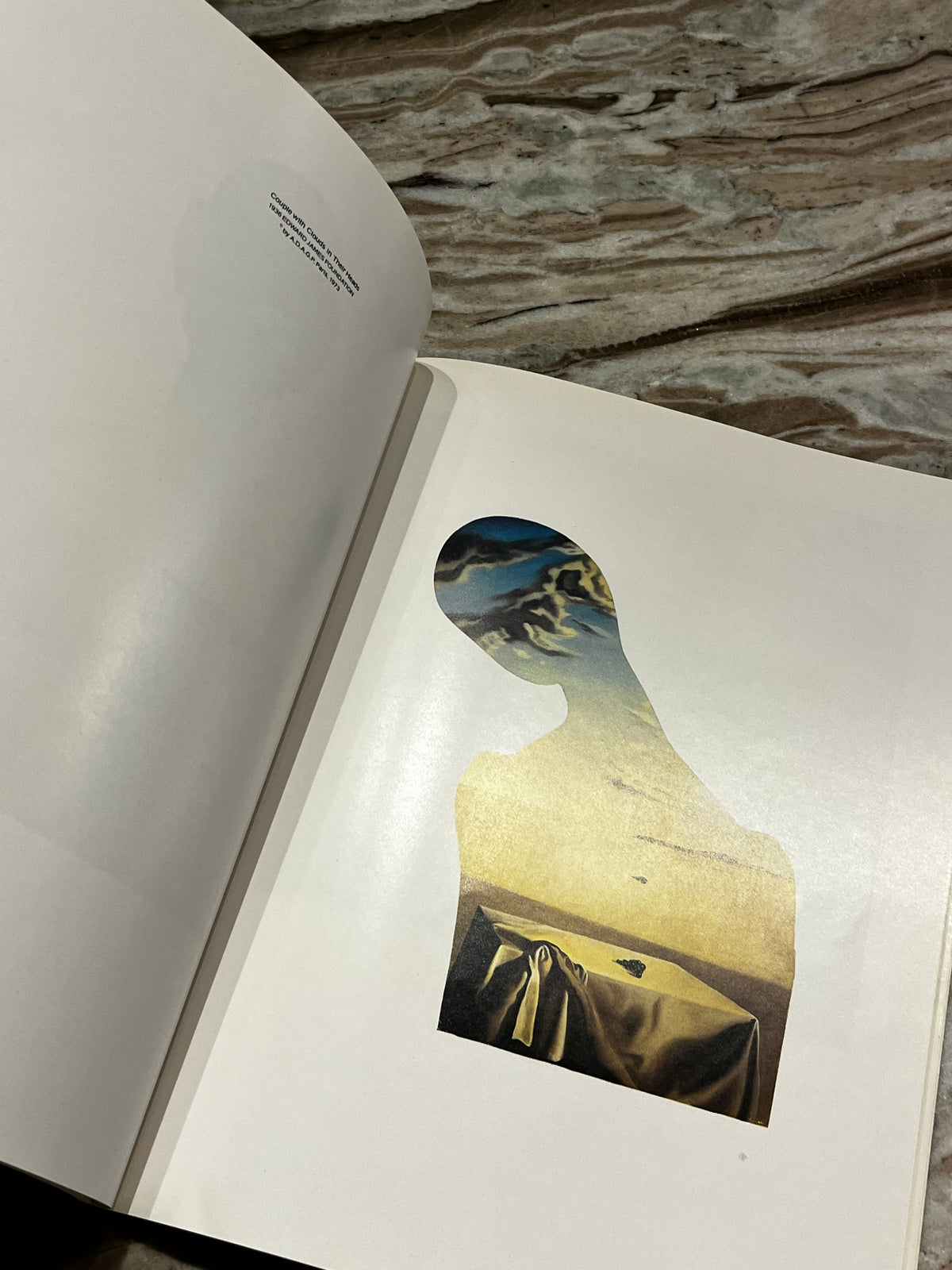 Vintage 1974 Dali Softcover Book