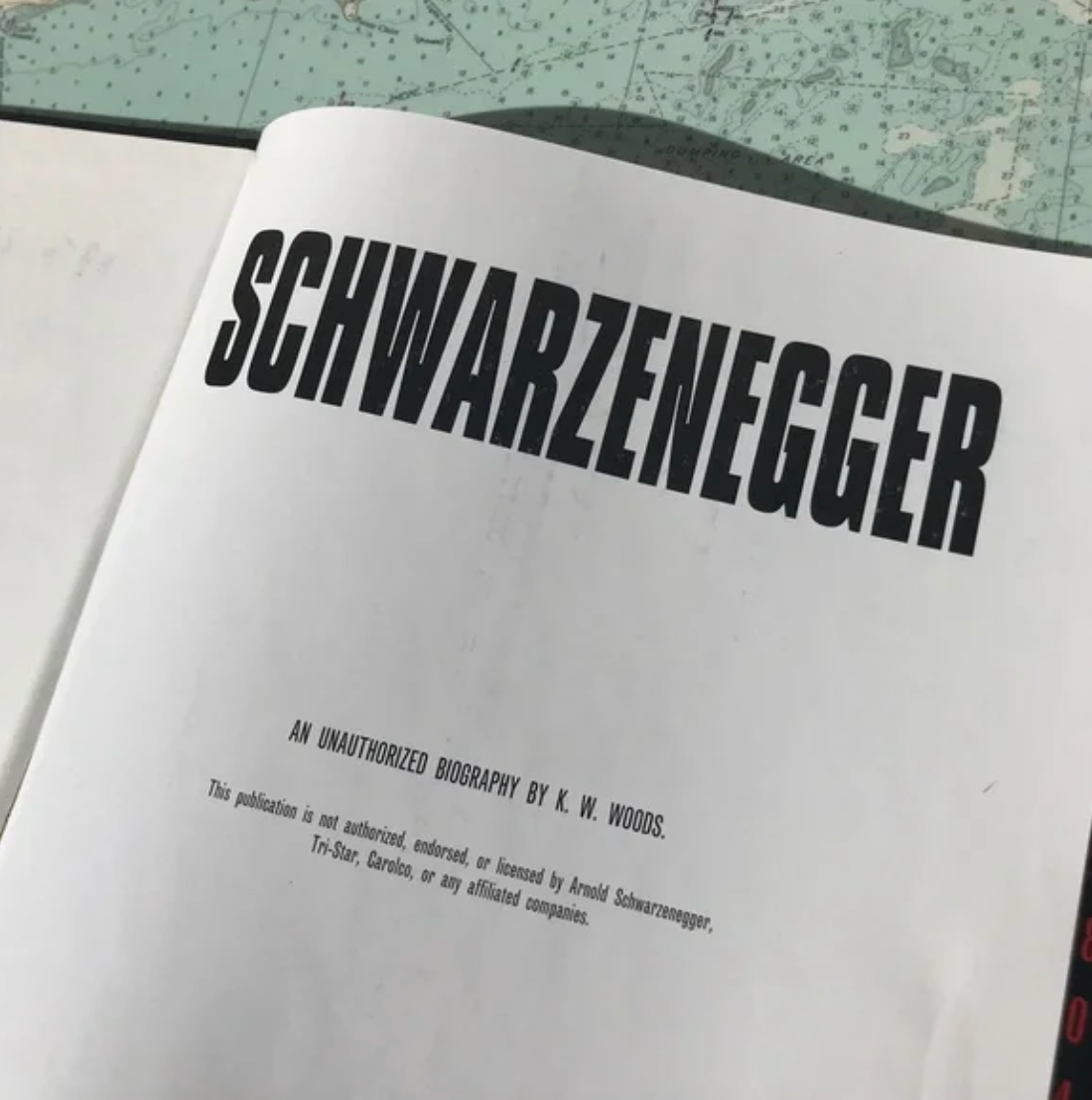 1991 Schwarzenegger : Muscleman to Terminator Unauthorized Biography